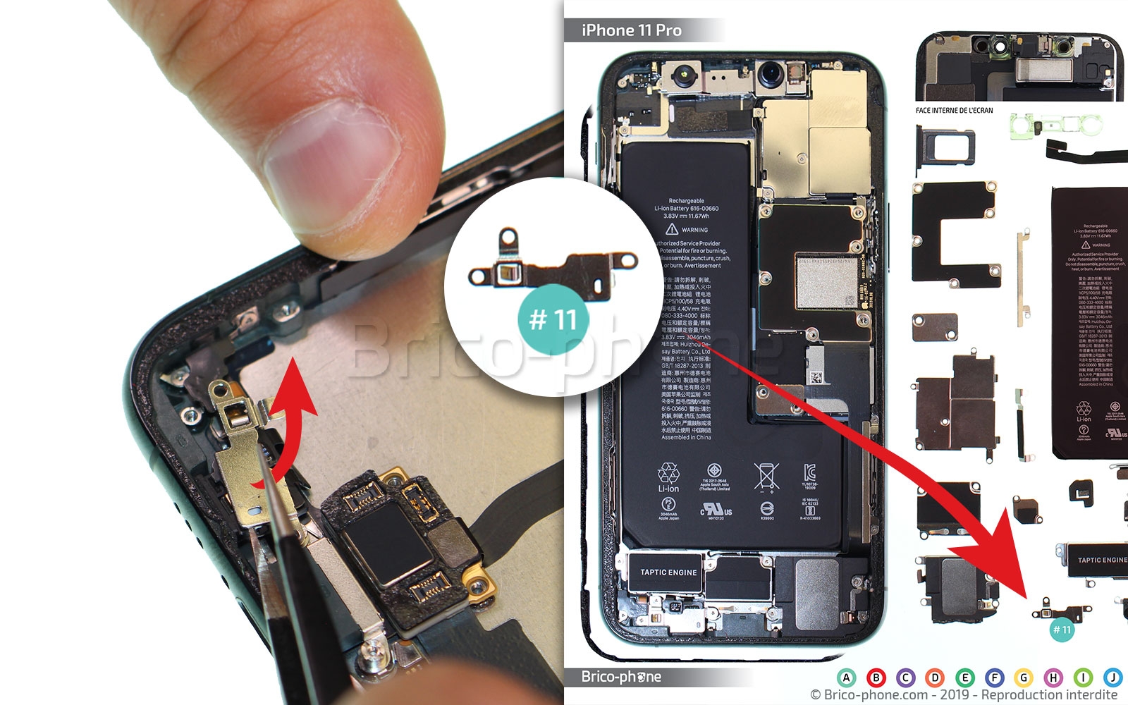 Démontage complet sur iPhone 11 Pro photo 2