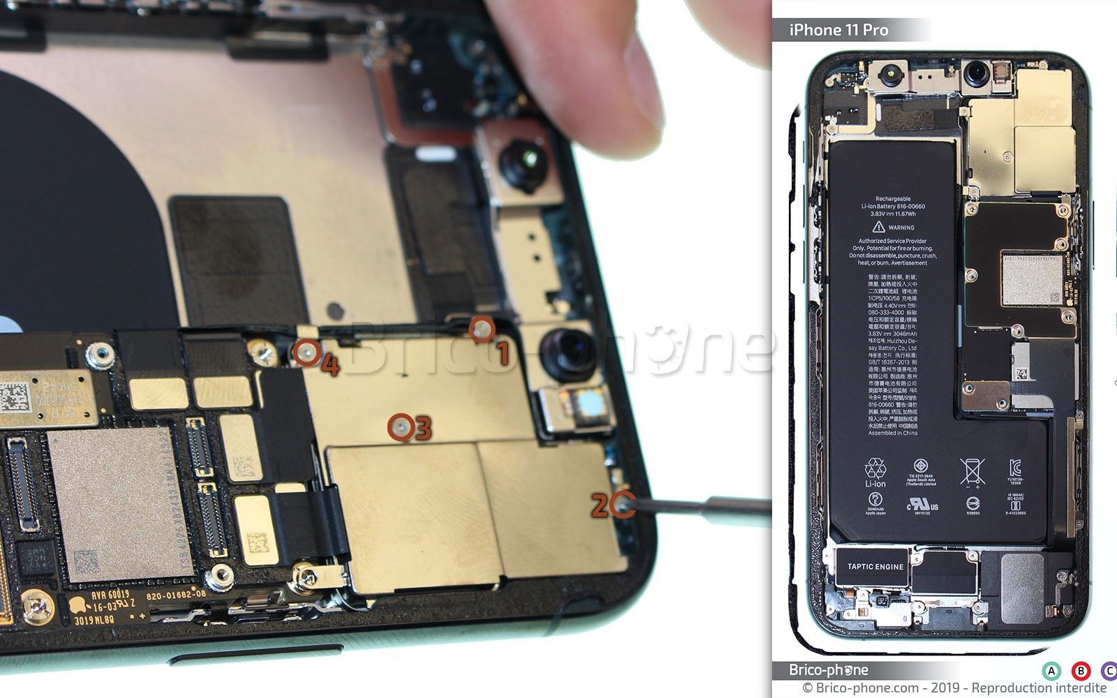 Démontage complet sur iPhone 11 Pro photo 1