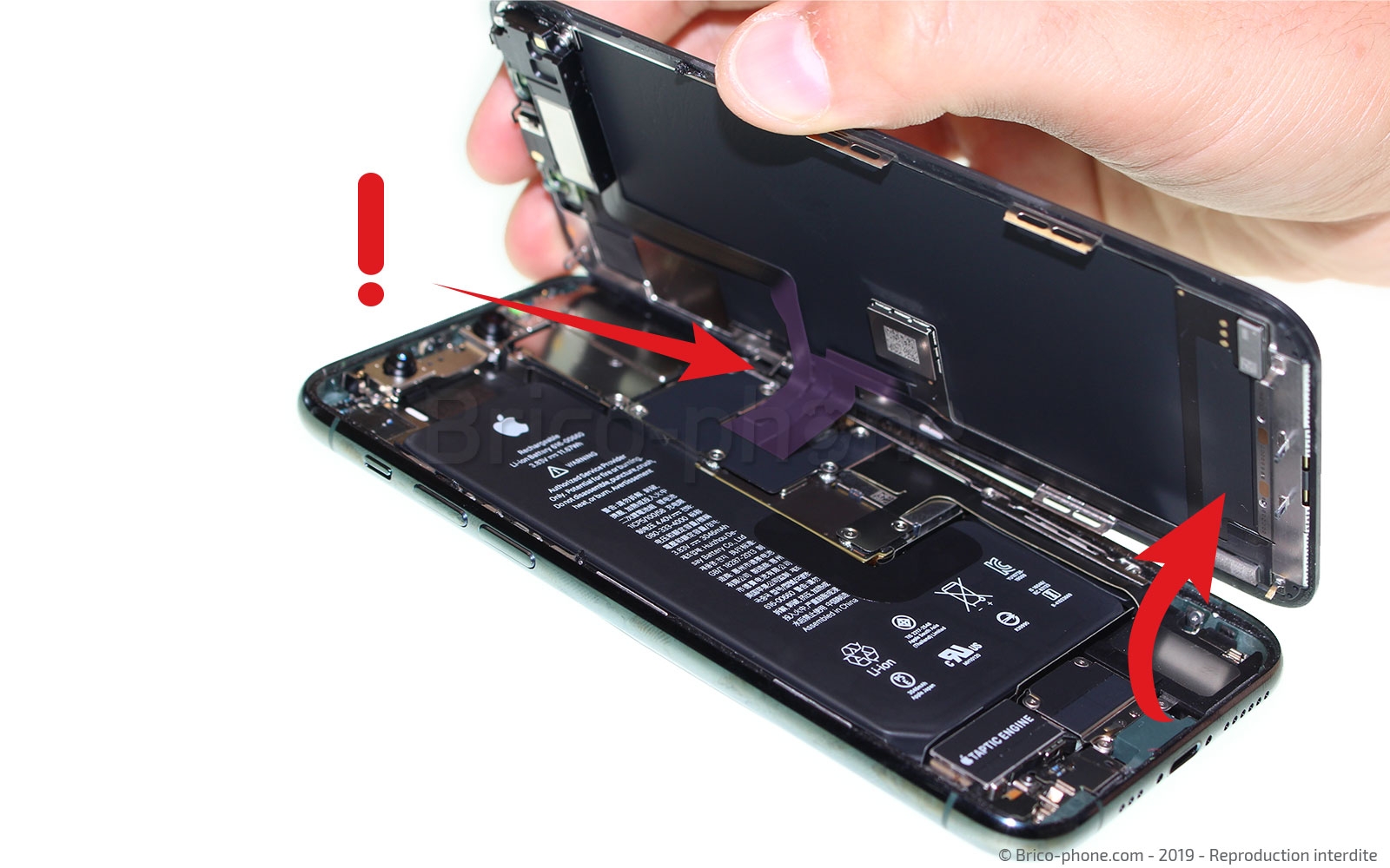 Changement du haut-parleur externe sur iPhone 11 Pro photo 2