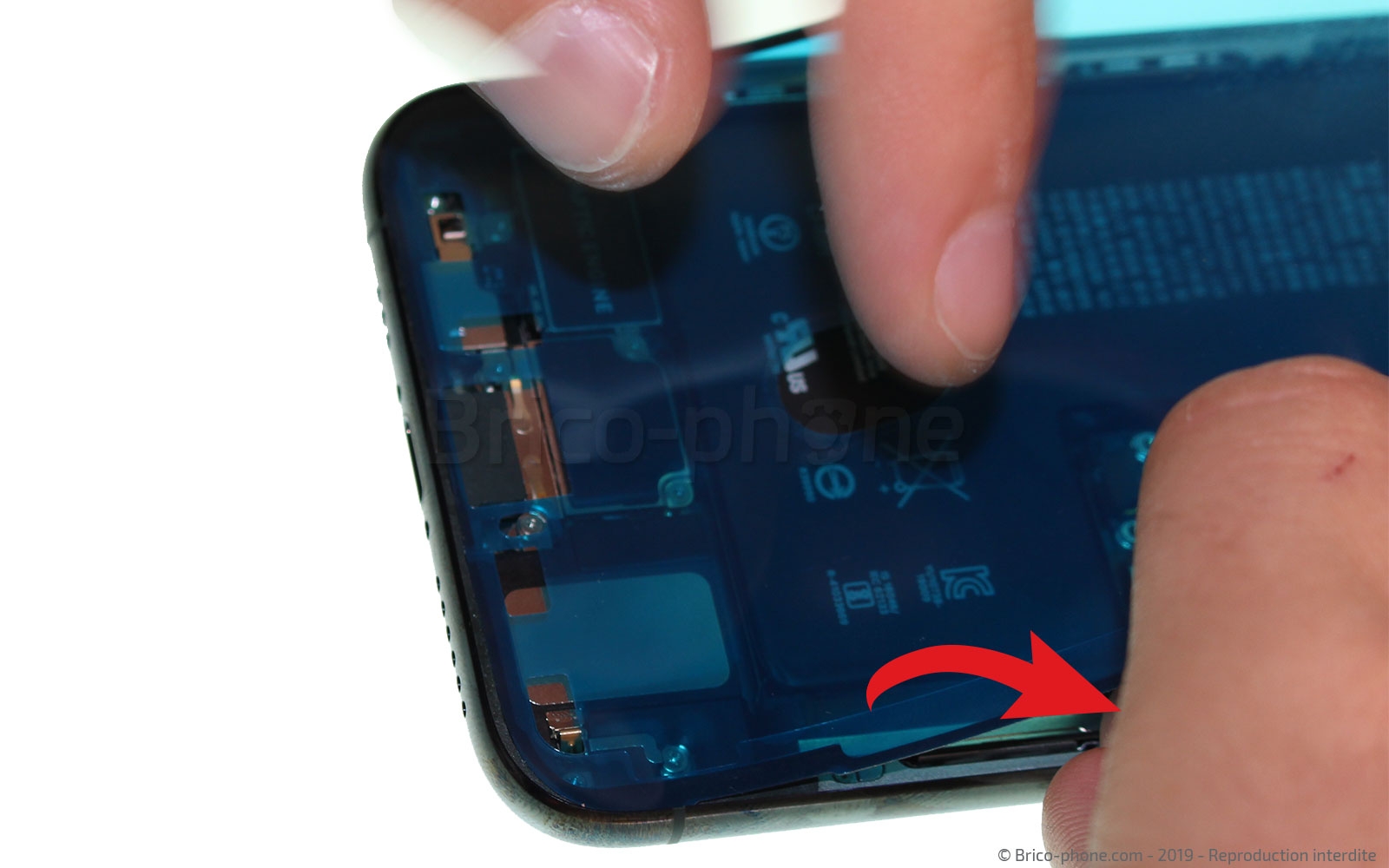 Changement du vibreur Taptic Engine sur iPhone 11 Pro photo 1