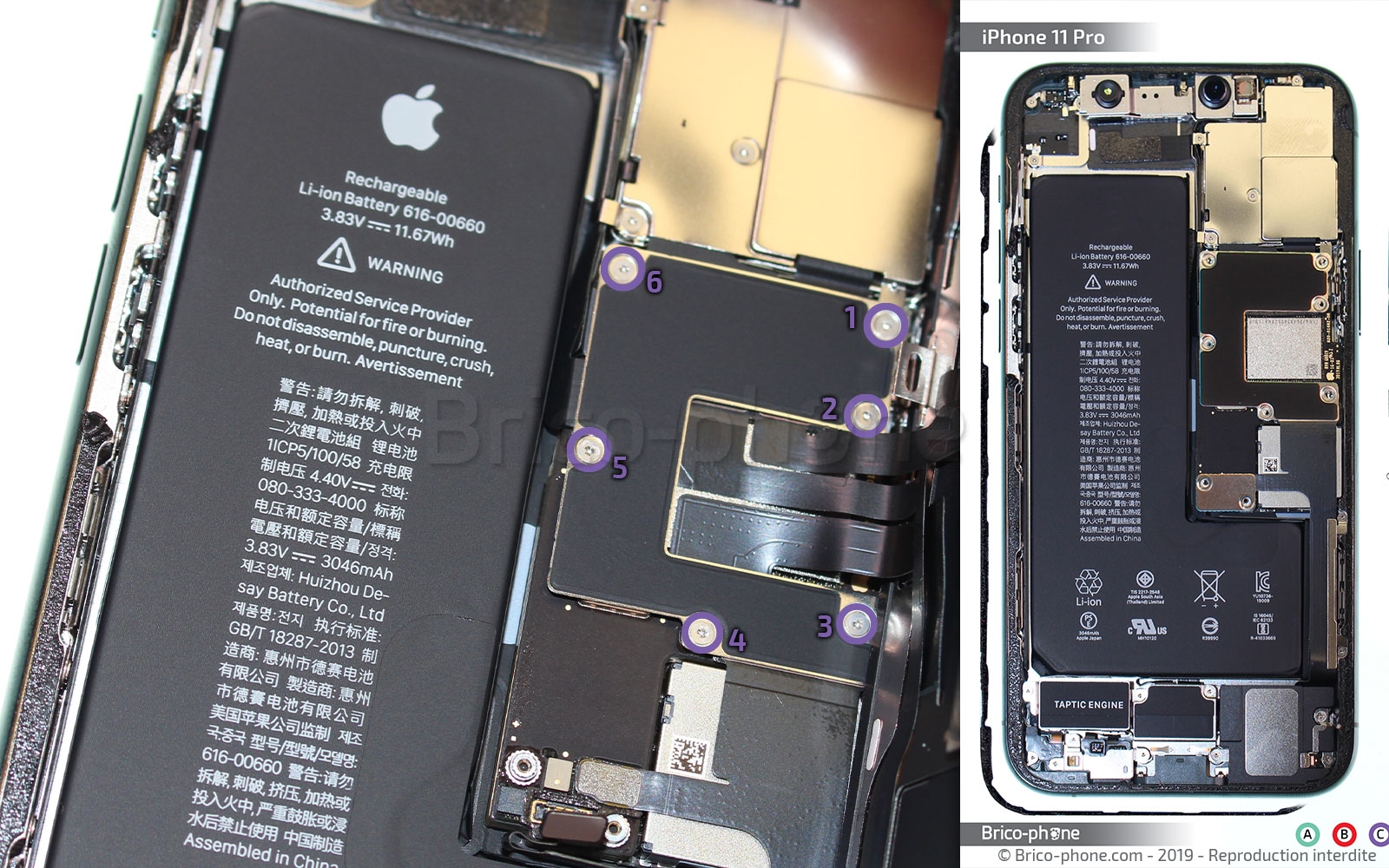 Changement du vibreur Taptic Engine sur iPhone 11 Pro photo 1