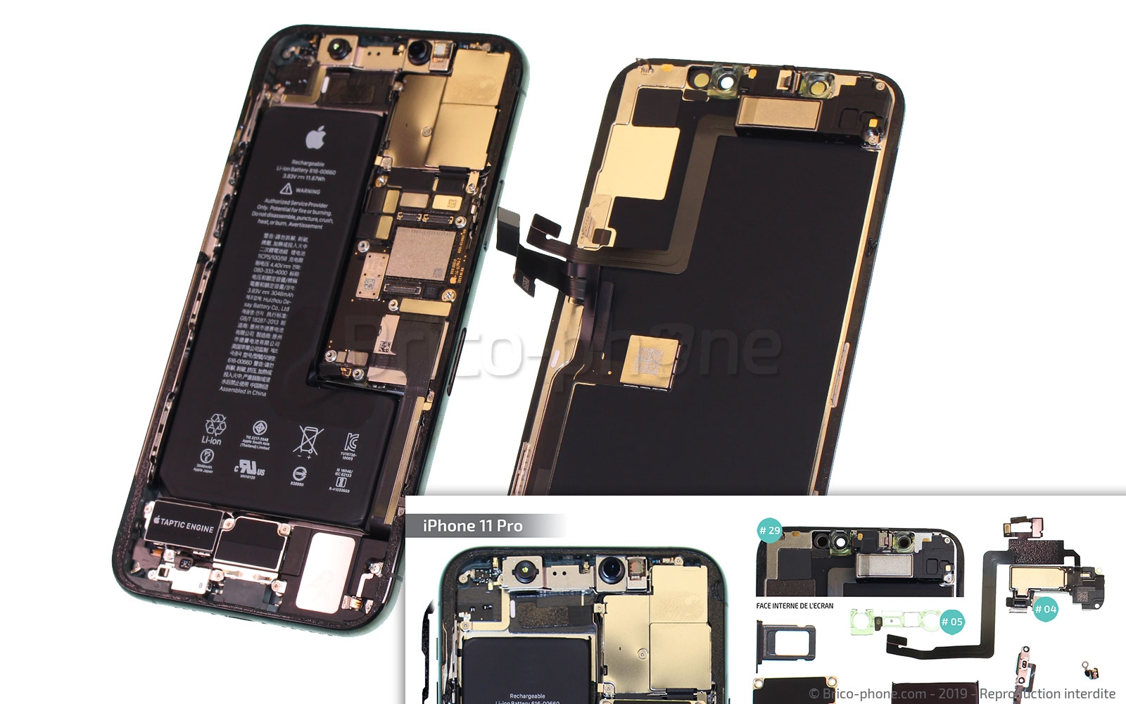 Changement du vibreur Taptic Engine sur iPhone 11 Pro photo 4