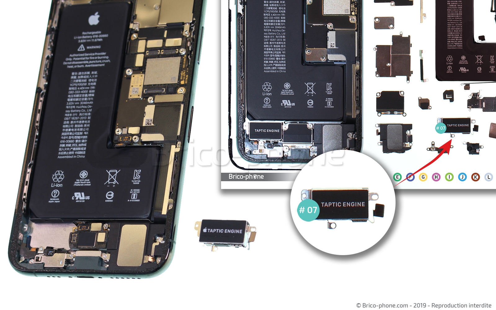 Changement du vibreur Taptic Engine sur iPhone 11 Pro photo 4