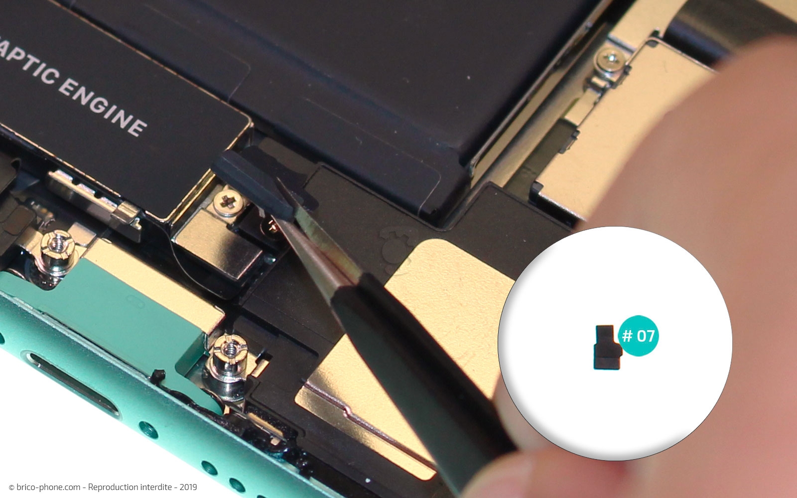 Remplacement du vibreur Taptic Engine sur iPhone 11 photo 2