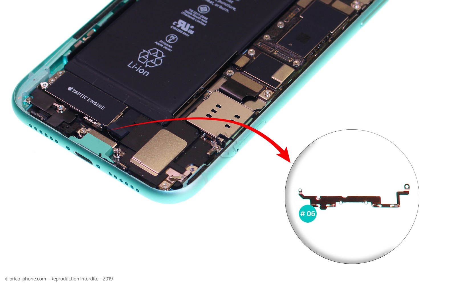 Remplacement du vibreur Taptic Engine sur iPhone 11 photo 3