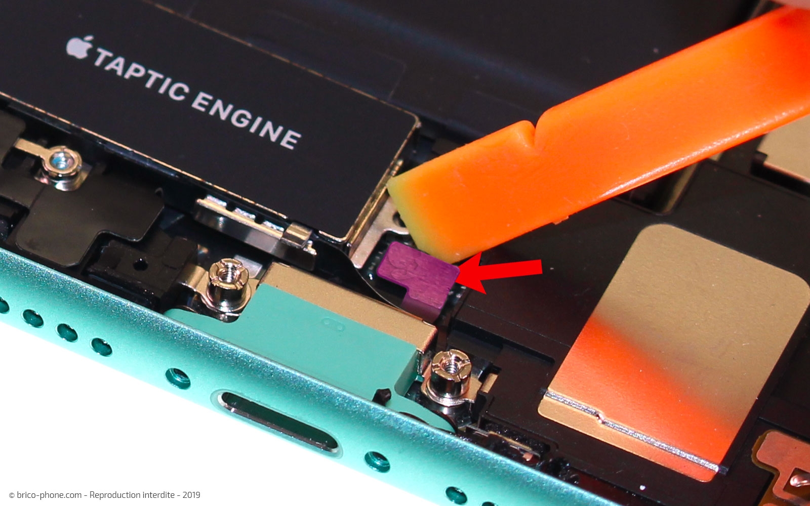 Remplacement du vibreur Taptic Engine sur iPhone 11 photo 2