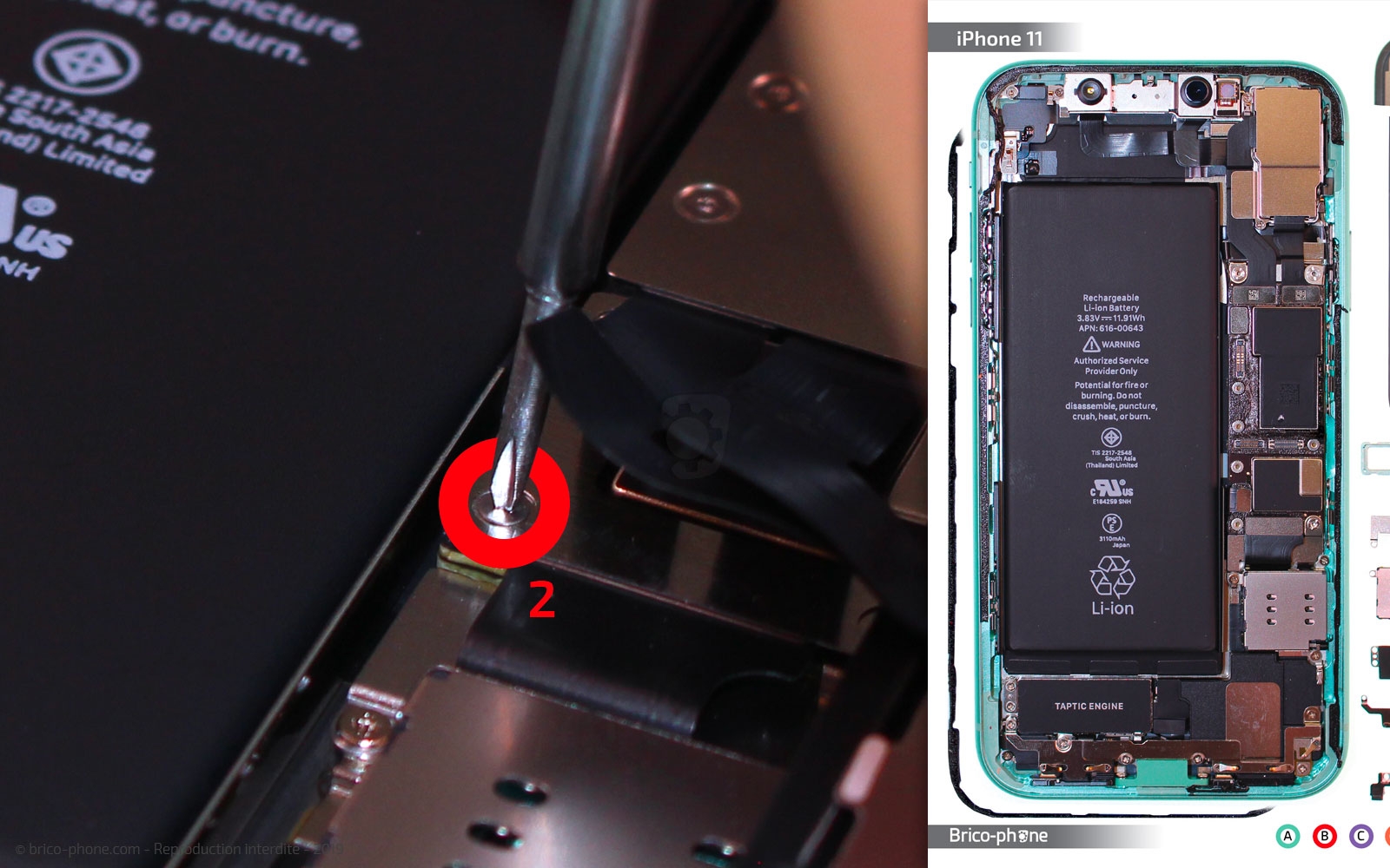 Remplacement du vibreur Taptic Engine sur iPhone 11 photo 2