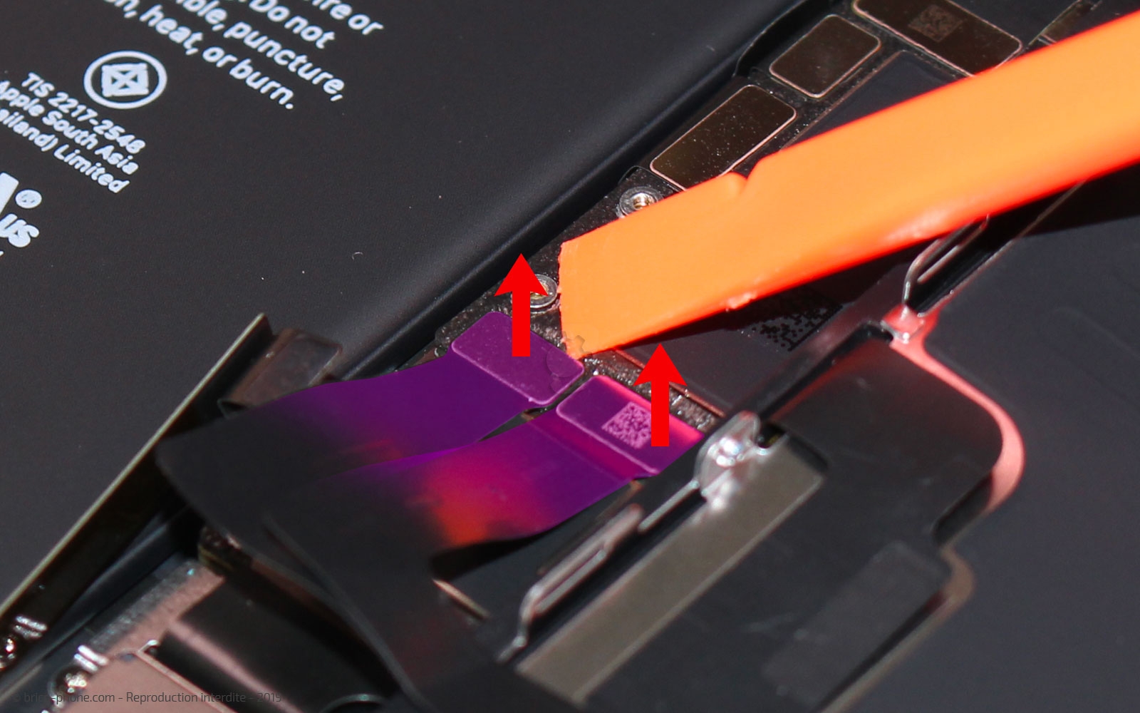 Remplacement du vibreur Taptic Engine sur iPhone 11 photo 1