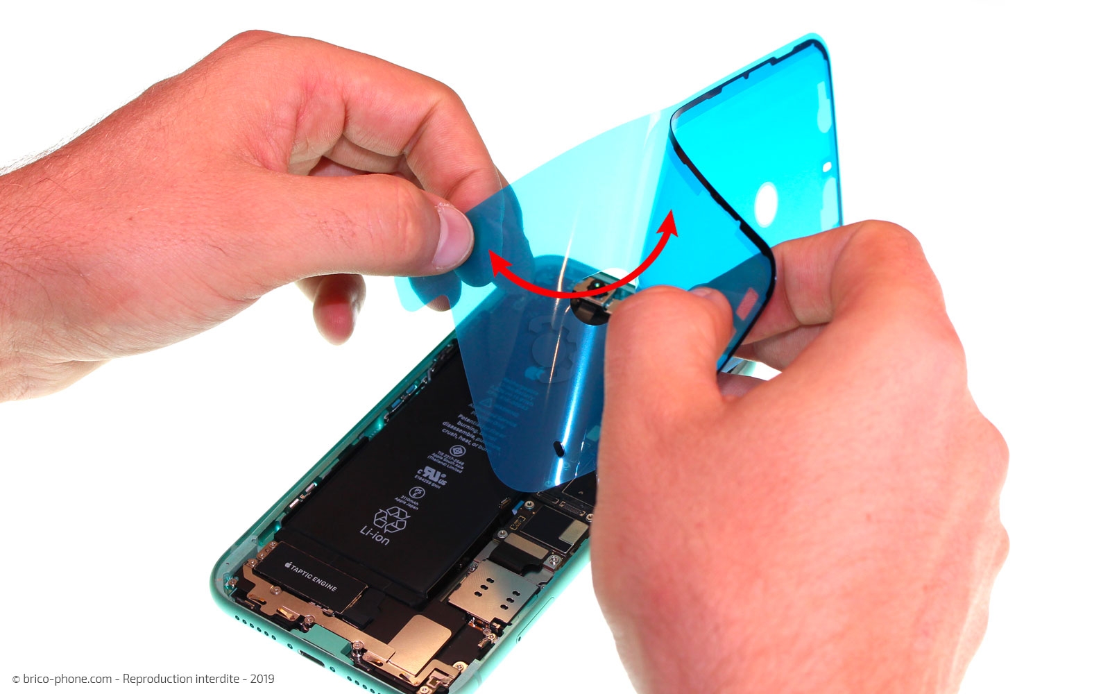Remplacement du vibreur Taptic Engine sur iPhone 11 photo 3