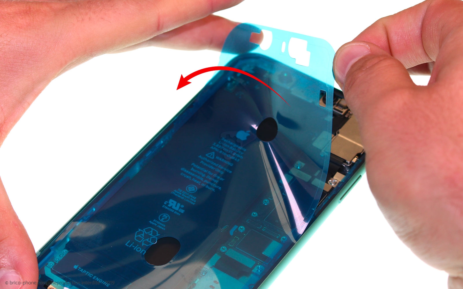 Remplacement du vibreur Taptic Engine sur iPhone 11 photo 3