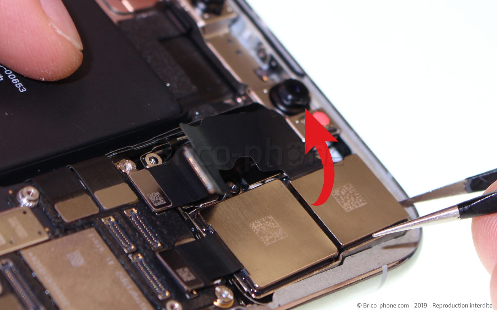 Changement de la triple caméra arrière sur iPhone 11 Pro Max photo 1