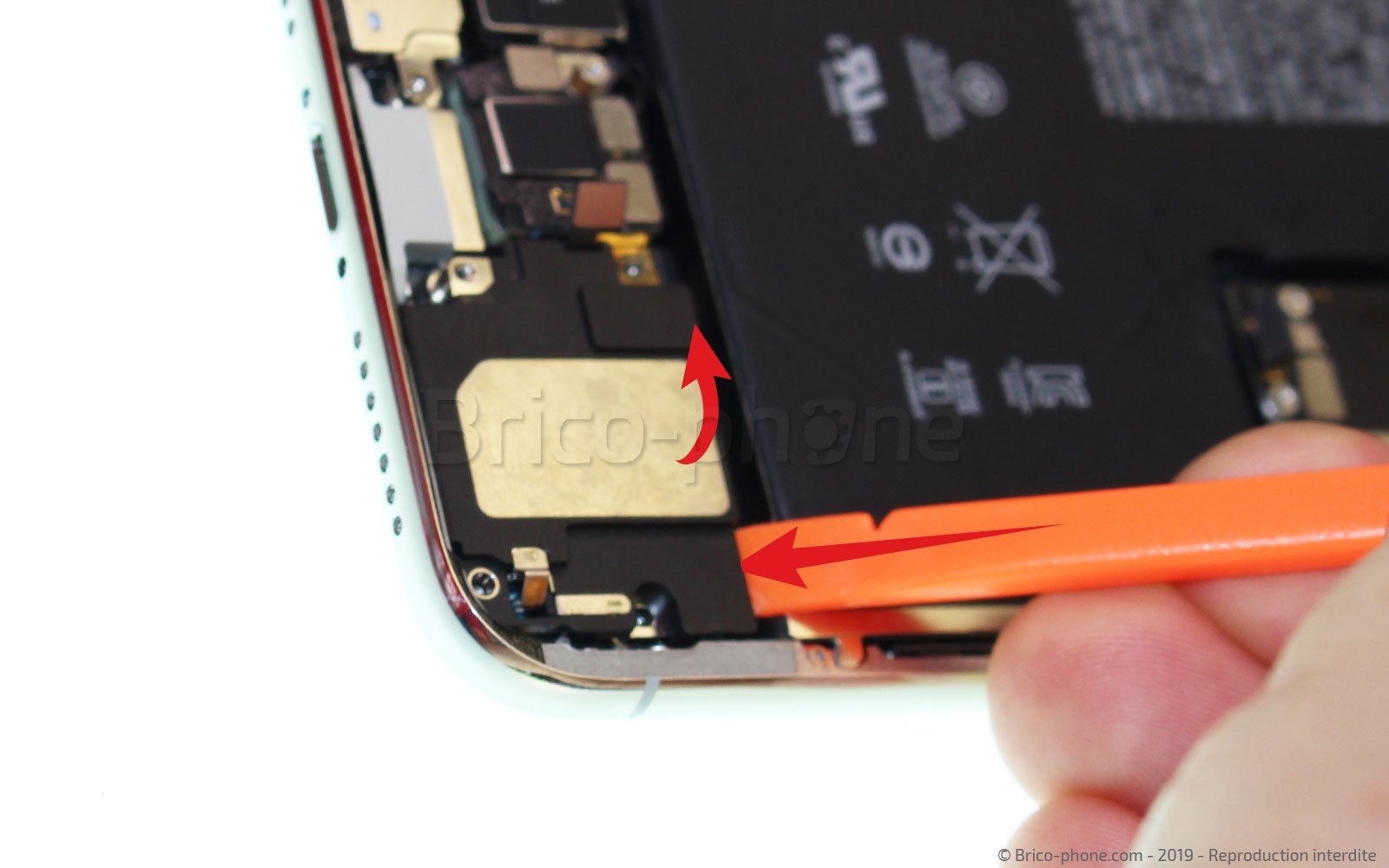 Changement du haut-parleur externe sur iPhone 11 Pro Max photo 3