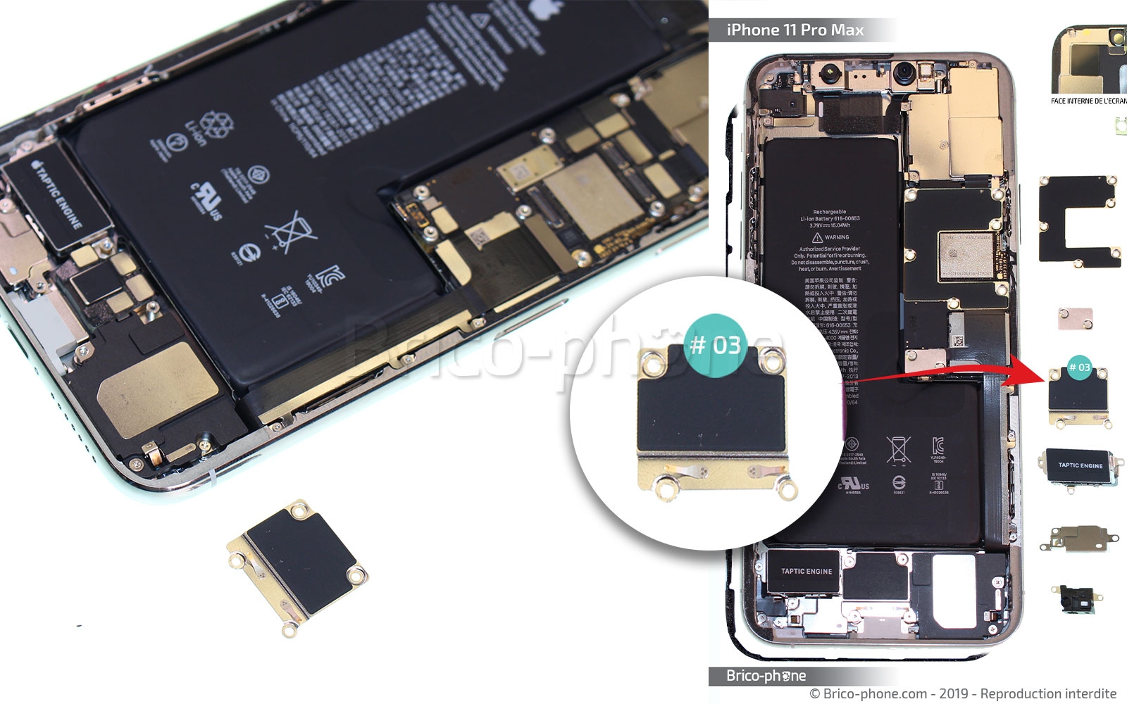 Changement du vibreur Taptic Engine sur iPhone 11 Pro Max photo 3