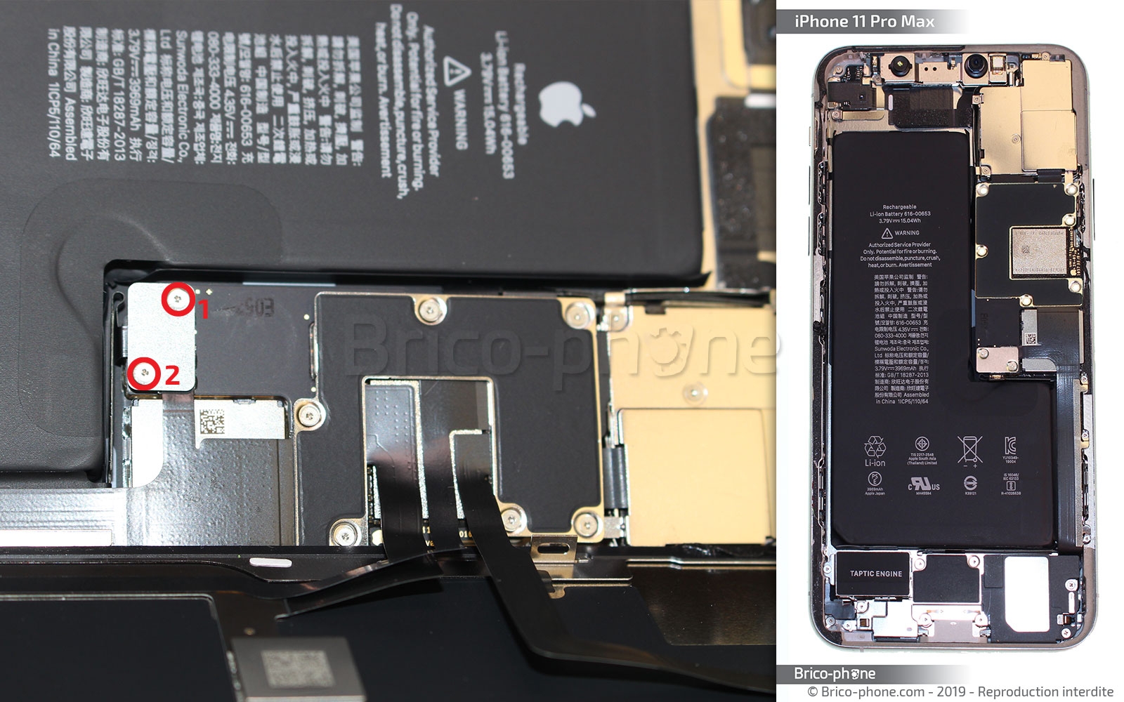 Changement du vibreur Taptic Engine sur iPhone 11 Pro Max photo 1