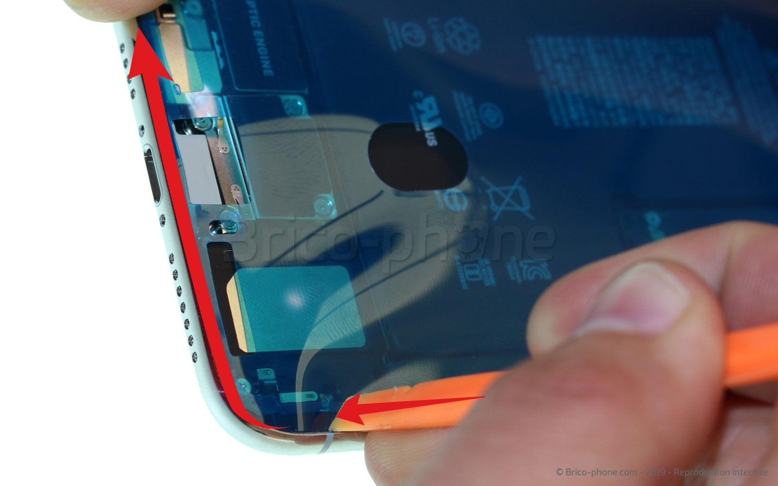 Changement du vibreur Taptic Engine sur iPhone 11 Pro Max photo 3