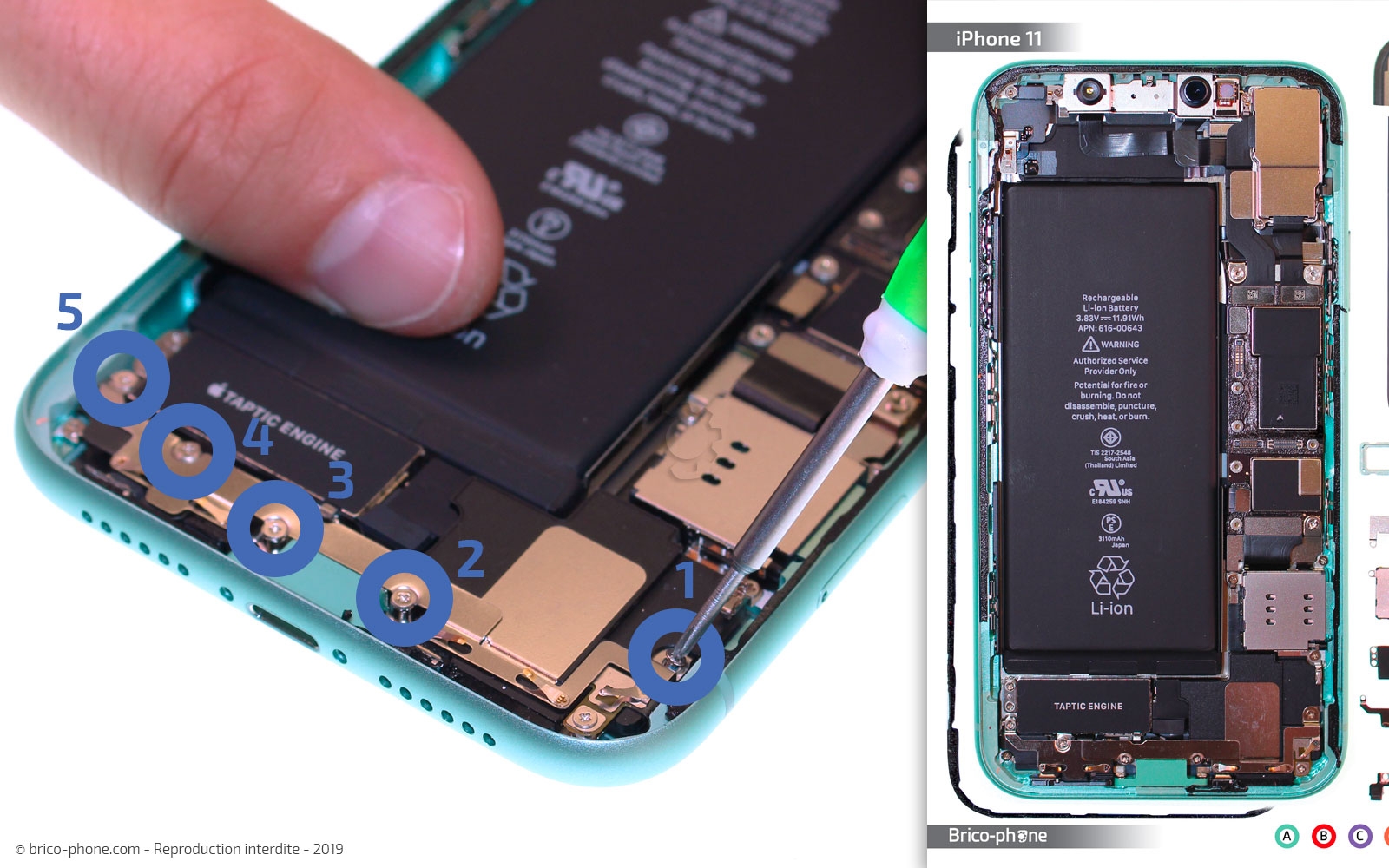 Remplacement du bloc haut-parleur sur iPhone 11 photo 1