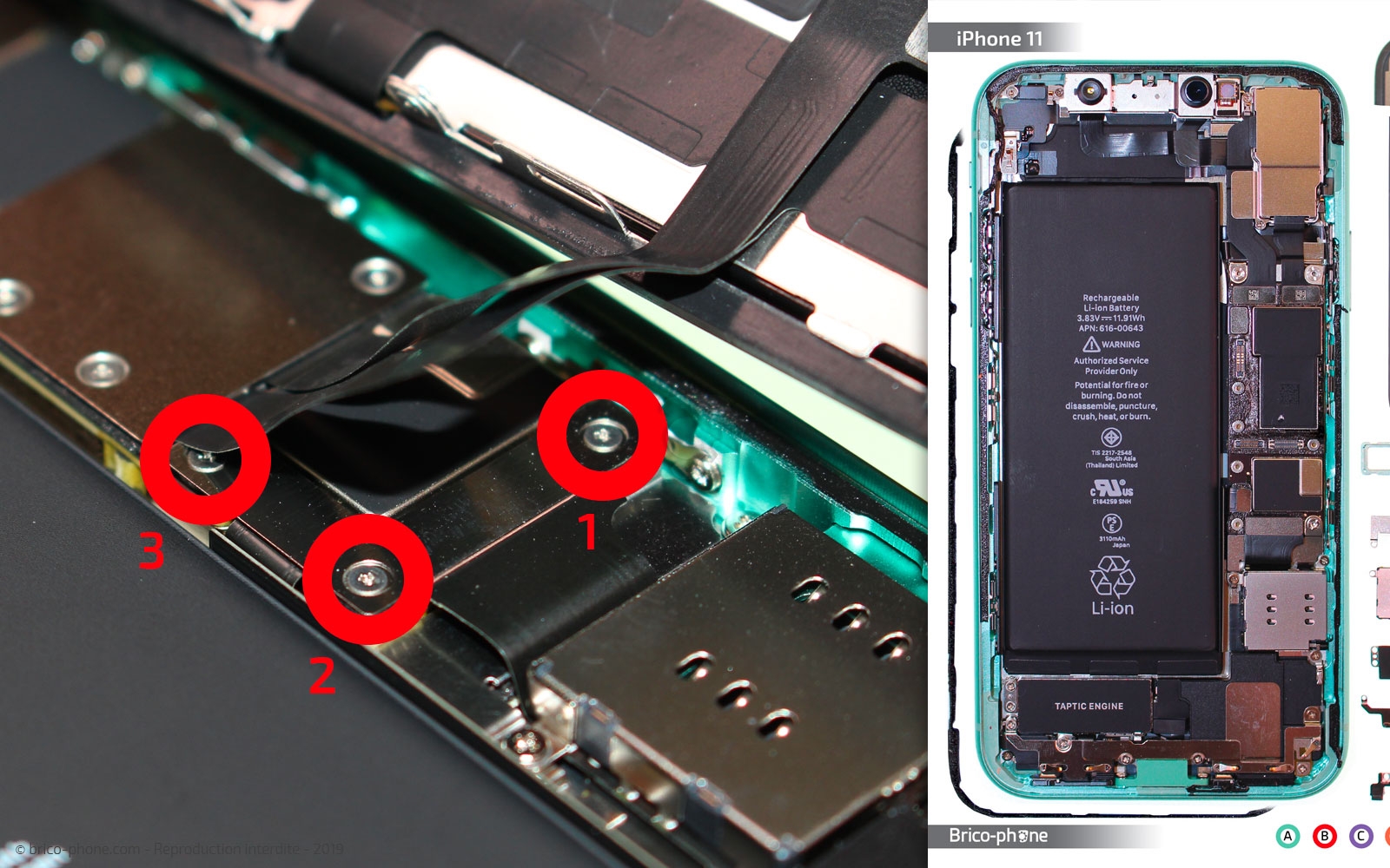 Remplacement du bloc haut-parleur sur iPhone 11 photo 1