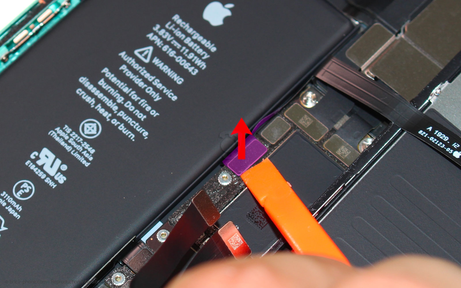 Remplacement du bloc haut-parleur sur iPhone 11 photo 2