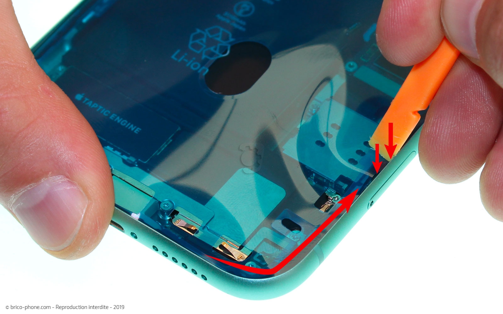 Remplacement du bloc haut-parleur sur iPhone 11 photo 2