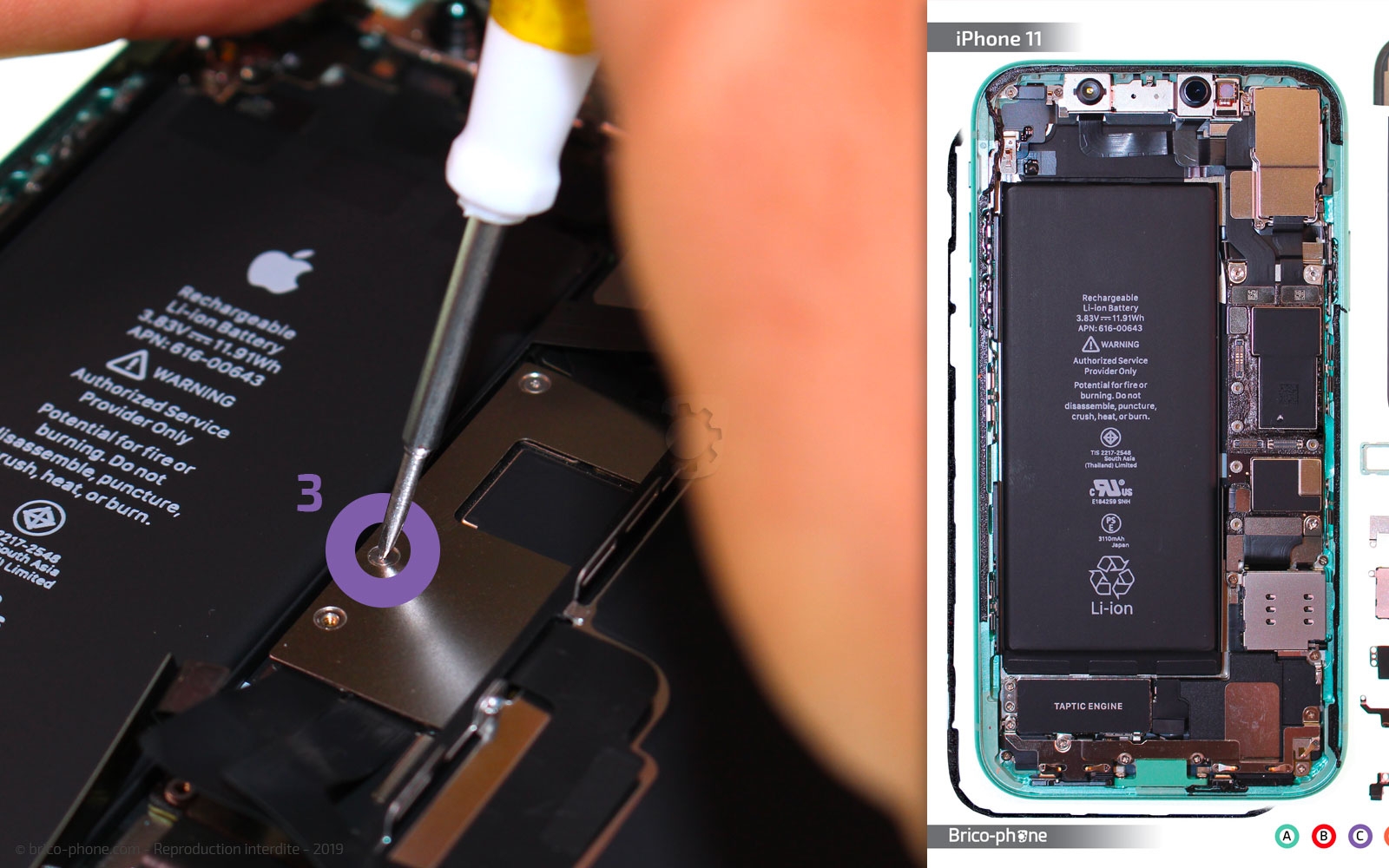 Remplacement du bloc haut-parleur sur iPhone 11 photo 2