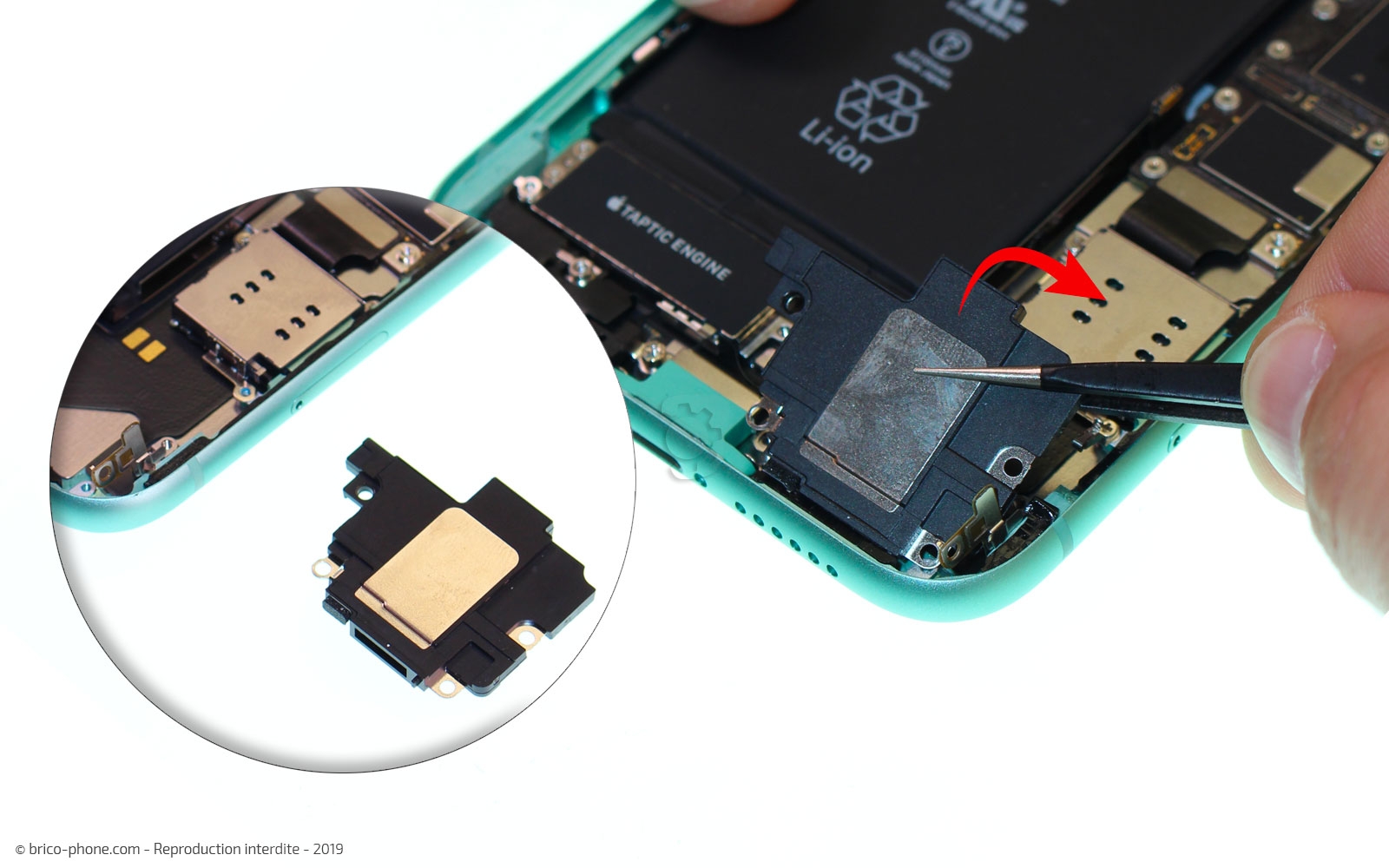 Remplacement du bloc haut-parleur sur iPhone 11 photo 3