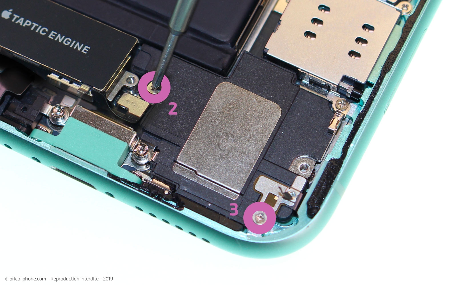 Remplacement du bloc haut-parleur sur iPhone 11 photo 1