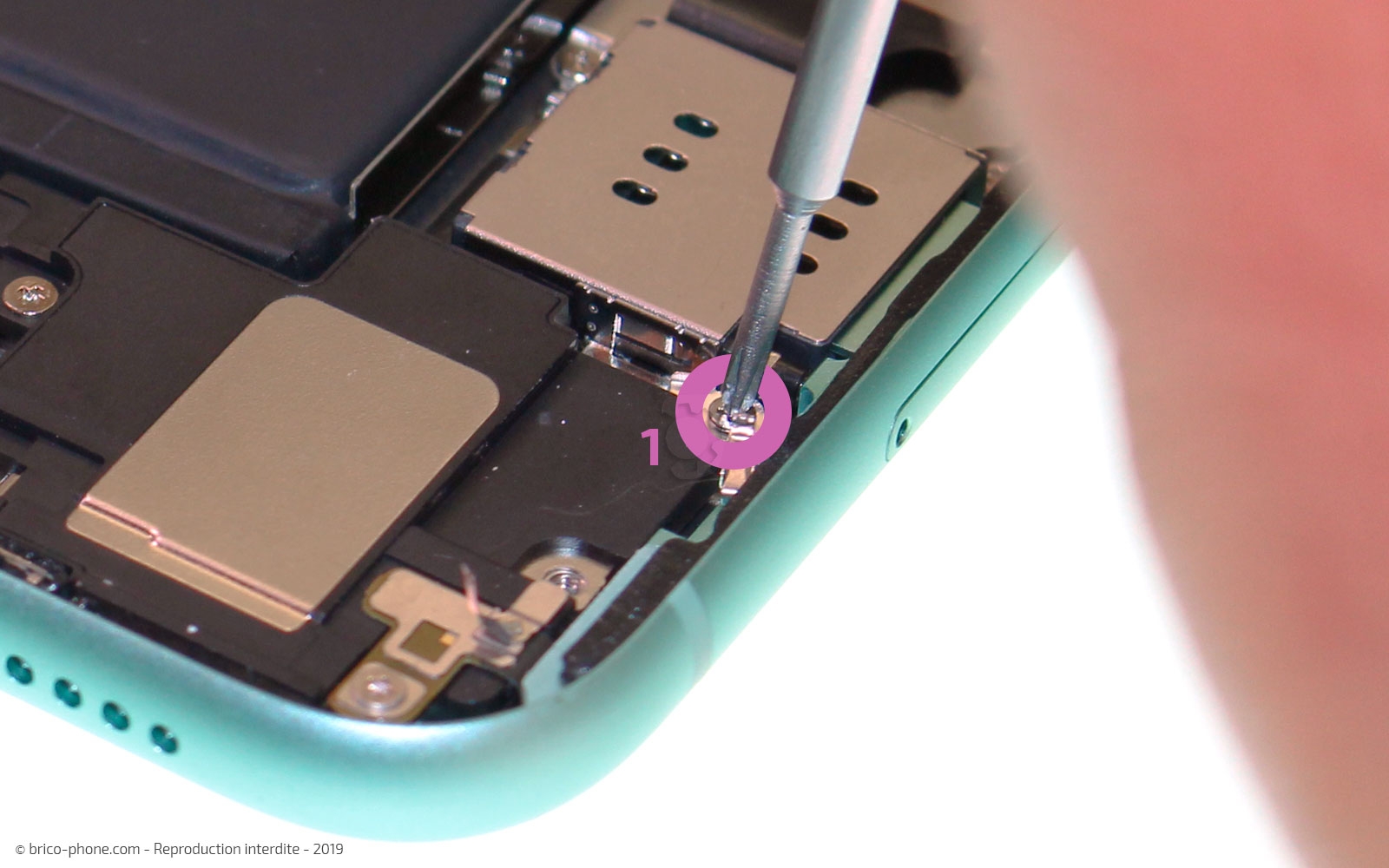 Remplacement du bloc haut-parleur sur iPhone 11 photo 2