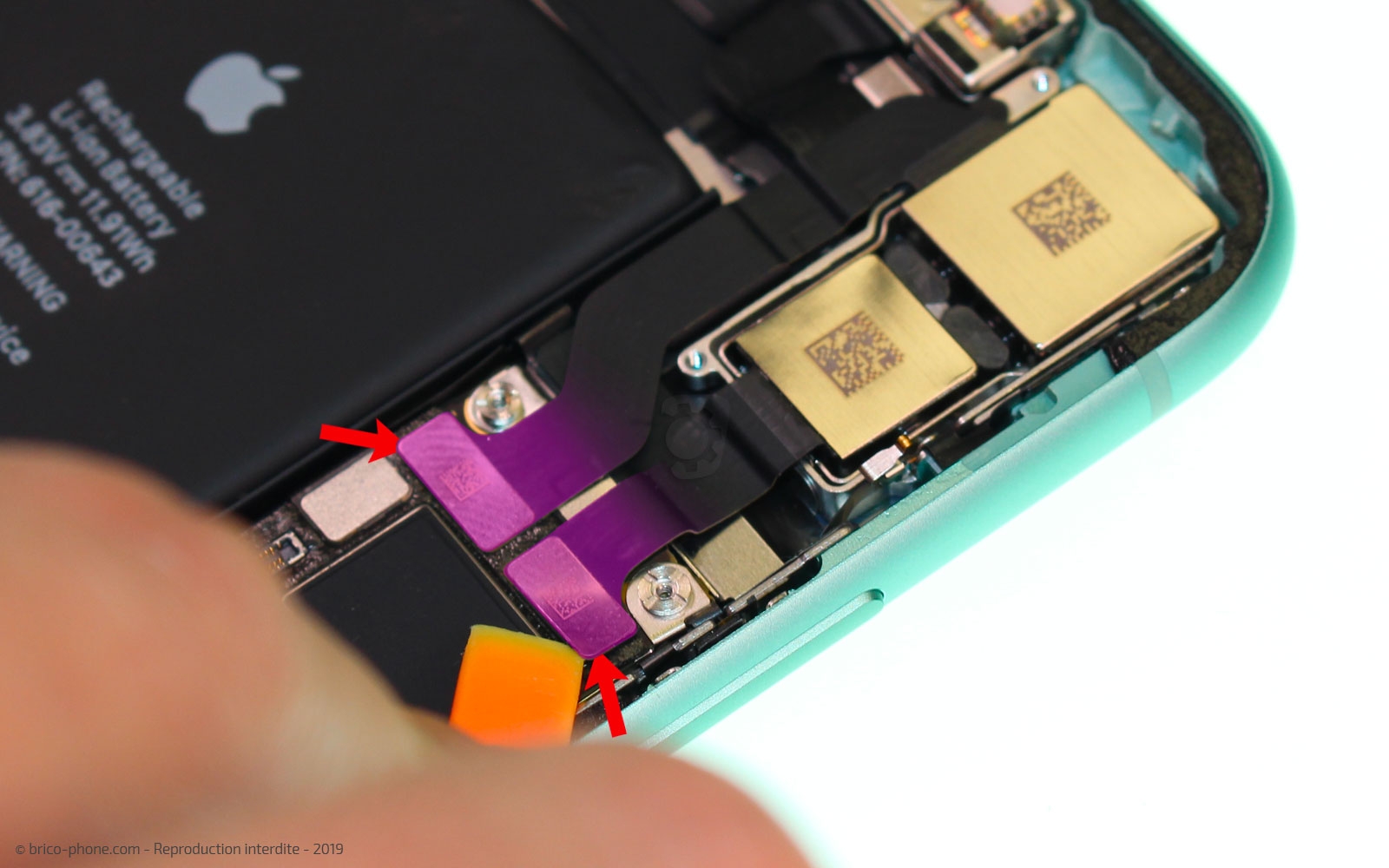 Changement du module caméras arrière sur iPhone 11 photo 1