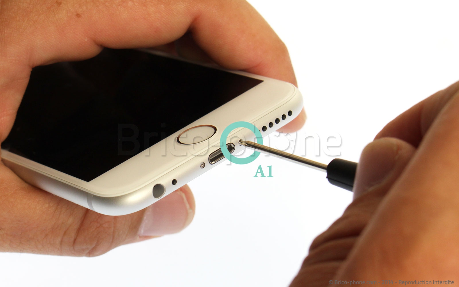 Changement de nappe volume et vibreur sur iPhone 6 photo 1