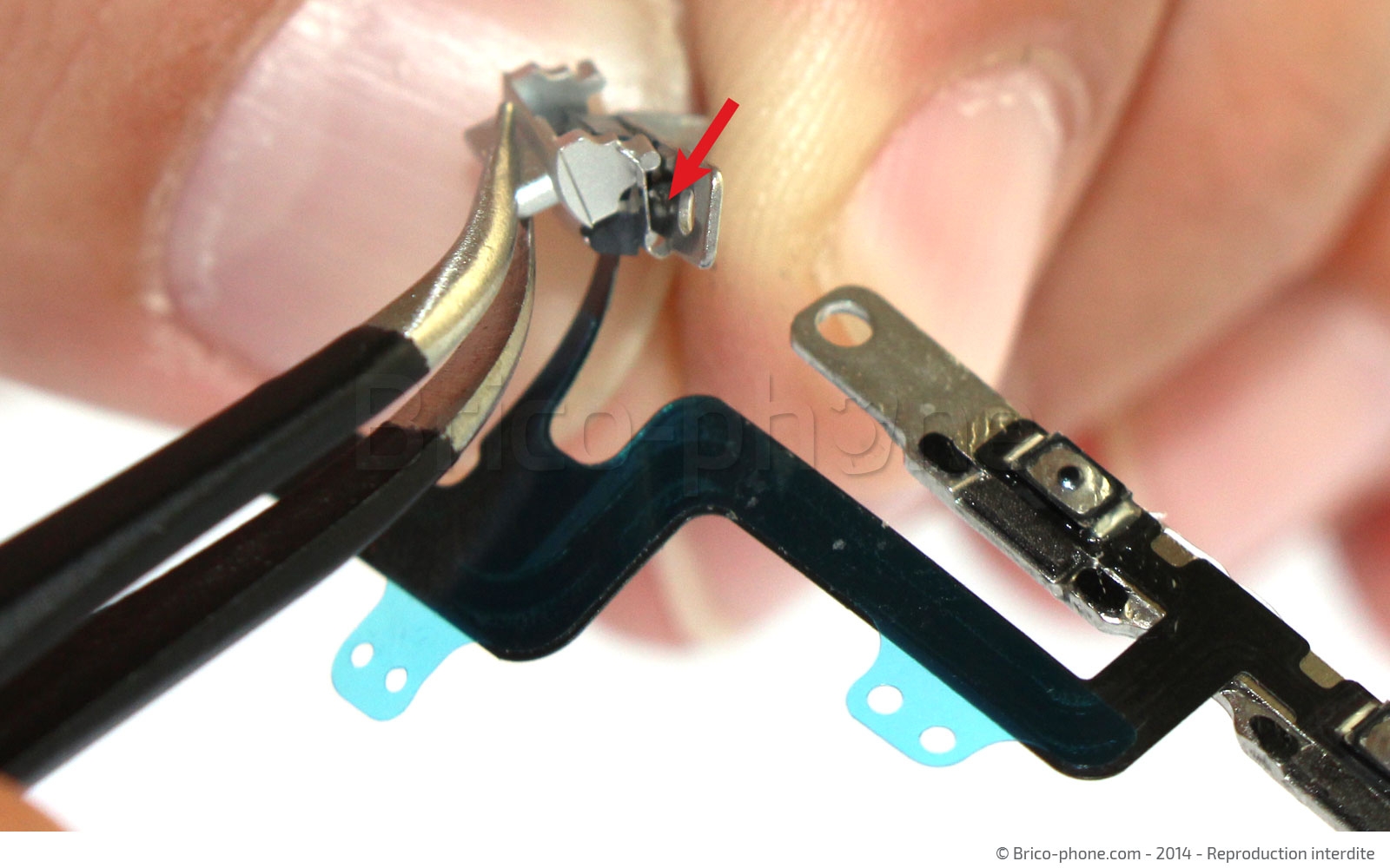 Changement de nappe volume et vibreur sur iPhone 6 photo 1