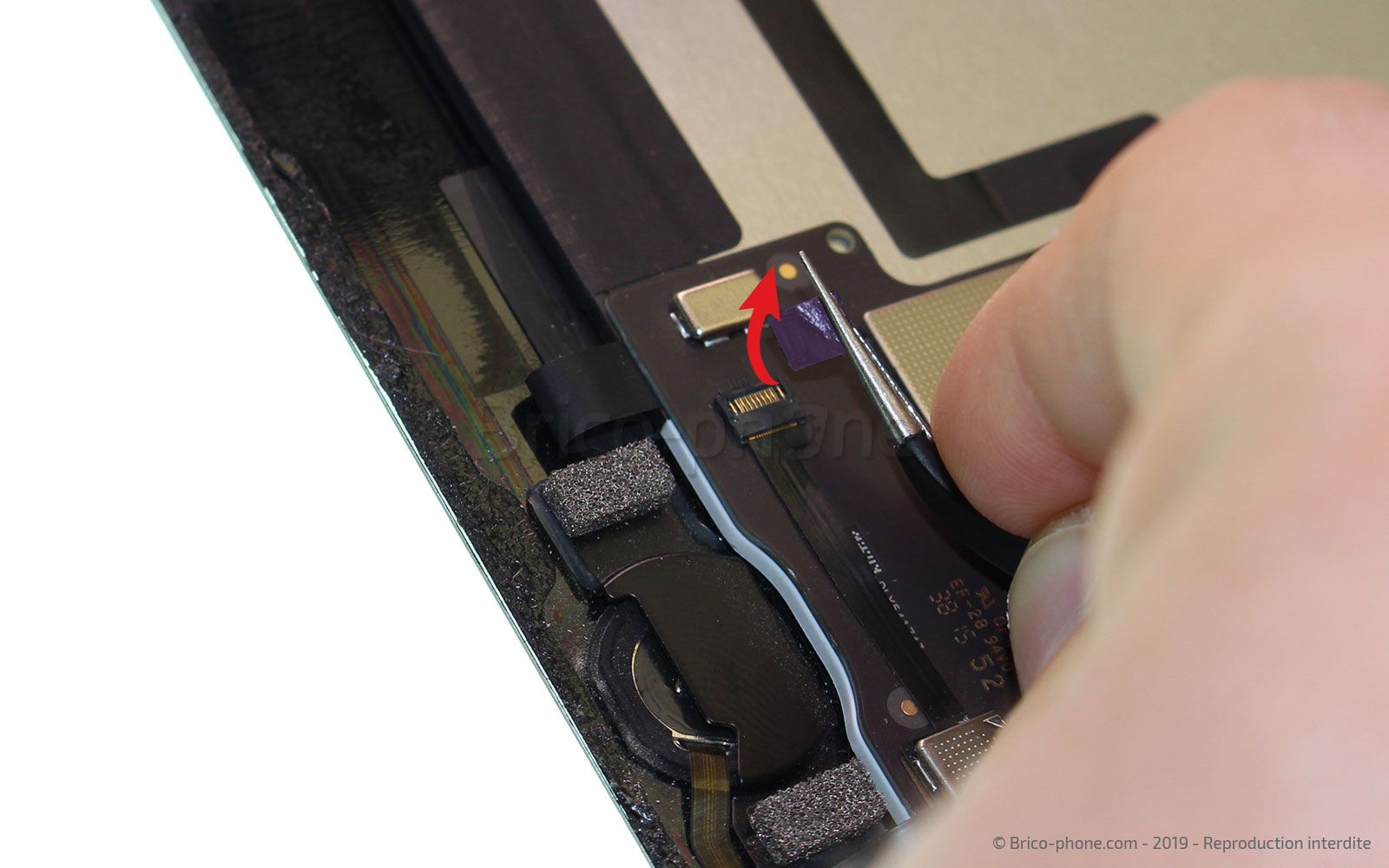 Changement de l'écran (vitre et LCD) sur iPad Pro 12-9 2015 photo 1