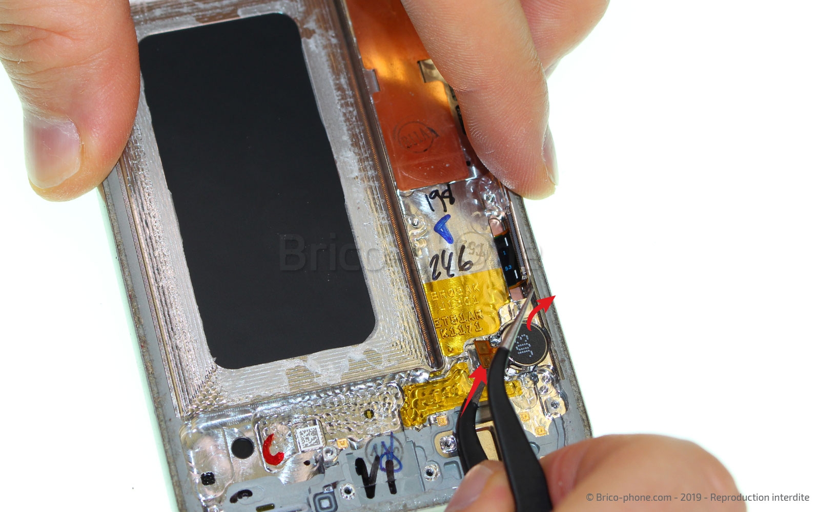 Démontage complet sur Galaxy S10e photo 3