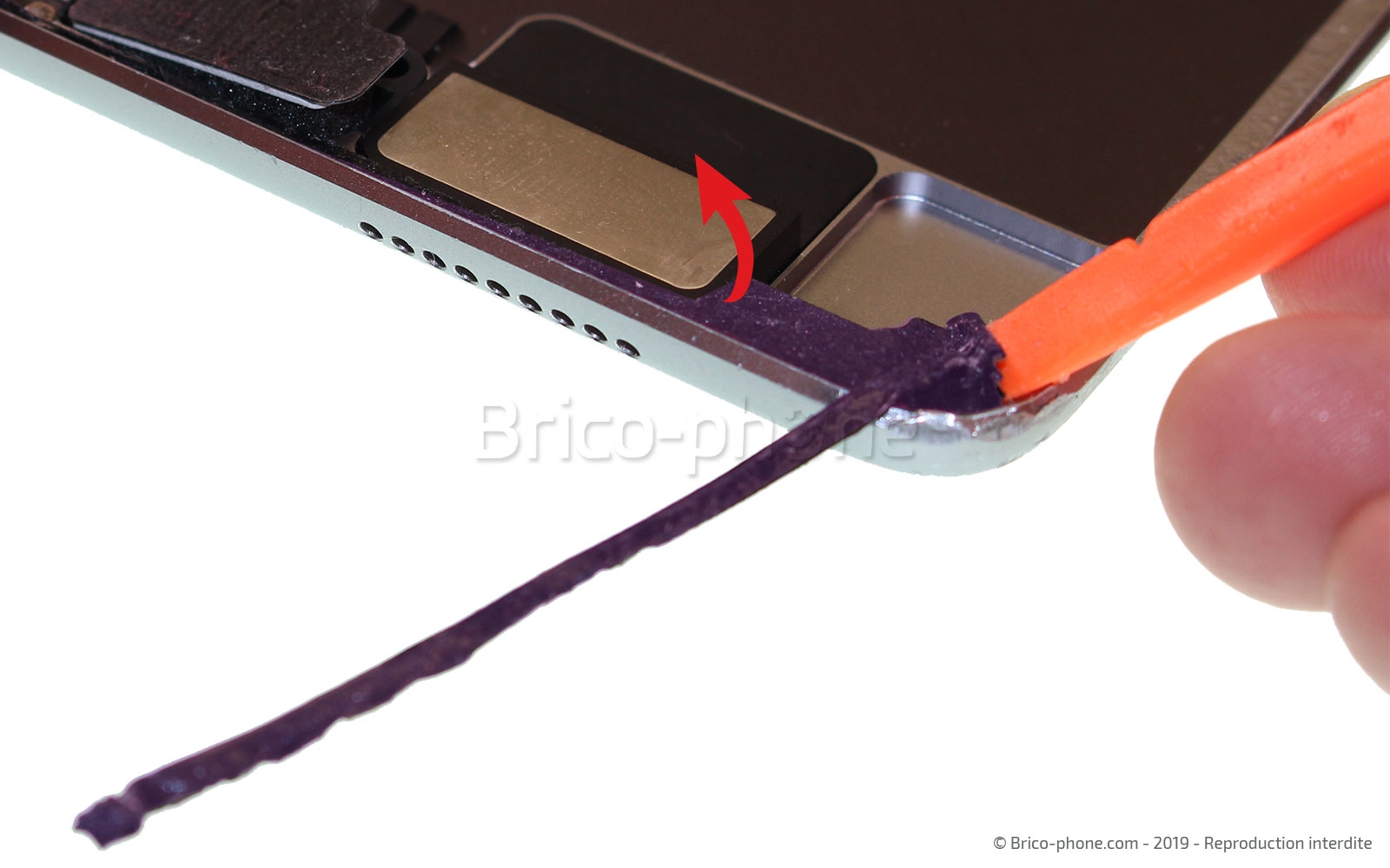 Changement de la batterie sur iPad Pro 12-9 2015 photo 1