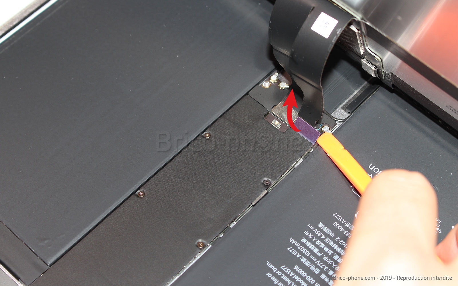 Changement de la batterie sur iPad Pro 12-9 2015 photo 1