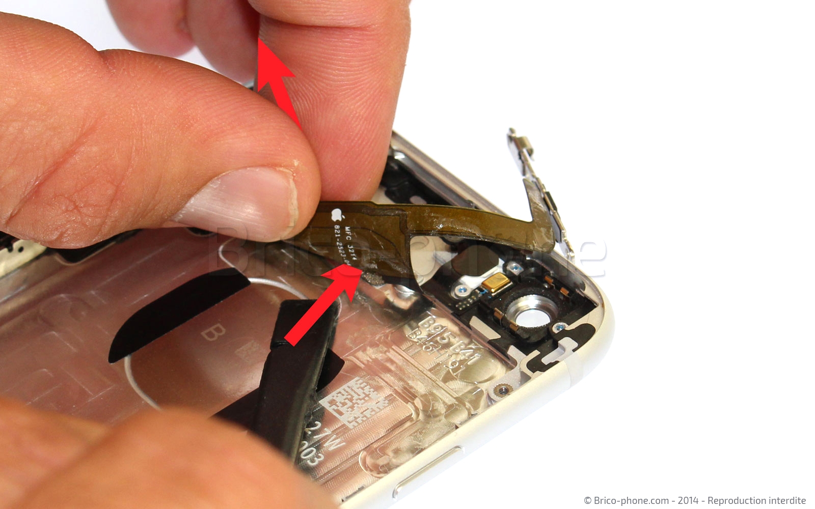 Changement de nappe bouton Power et flash sur iPhone 6 photo 3