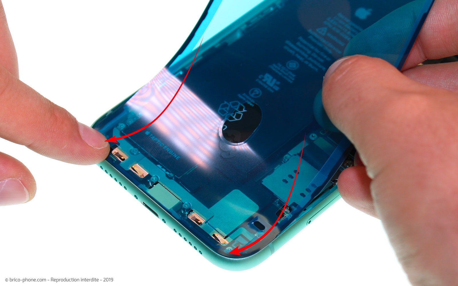 Remplacer le connecteur de charge sur iPhone 11 photo 1