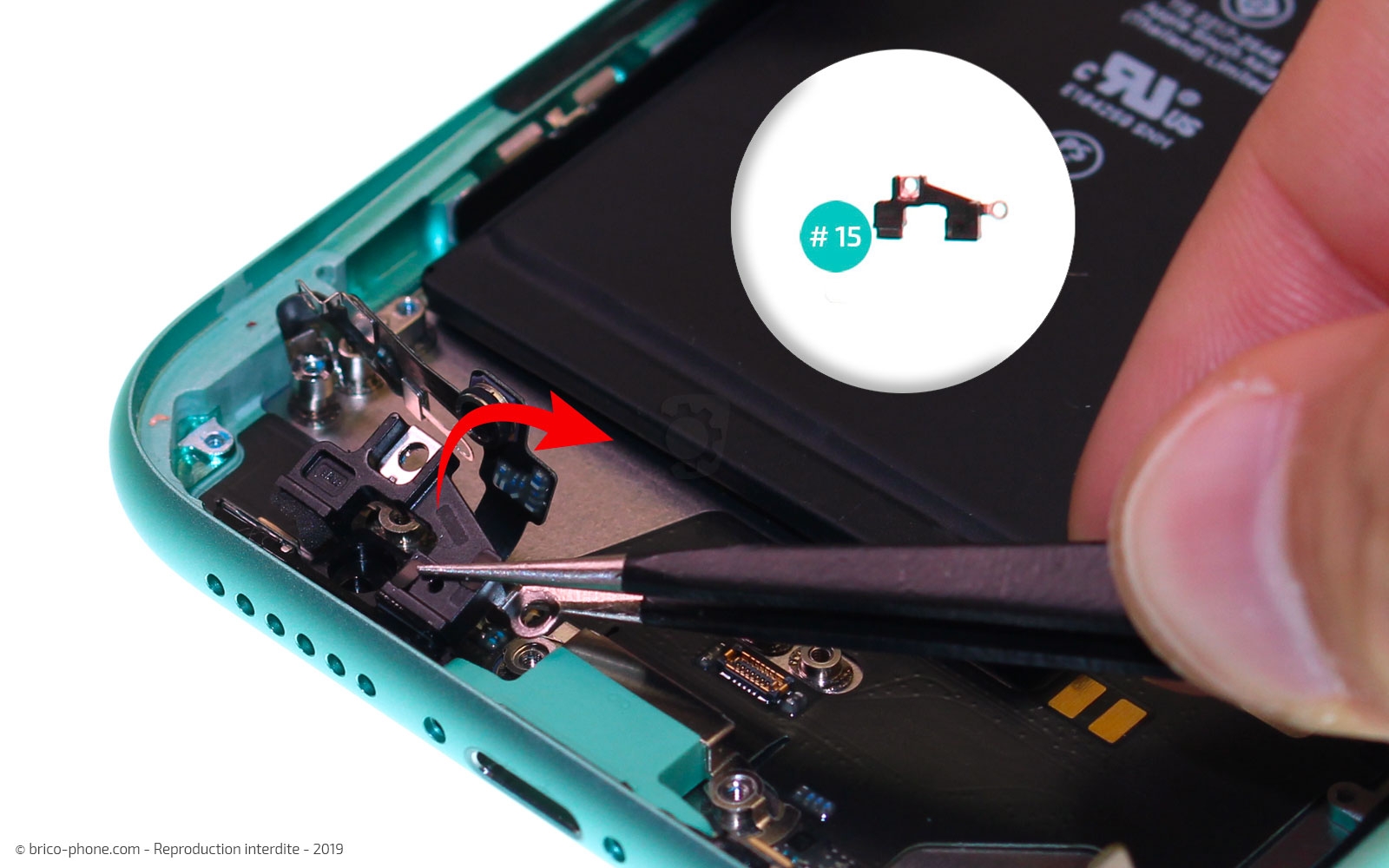 Remplacer le connecteur de charge sur iPhone 11 photo 1