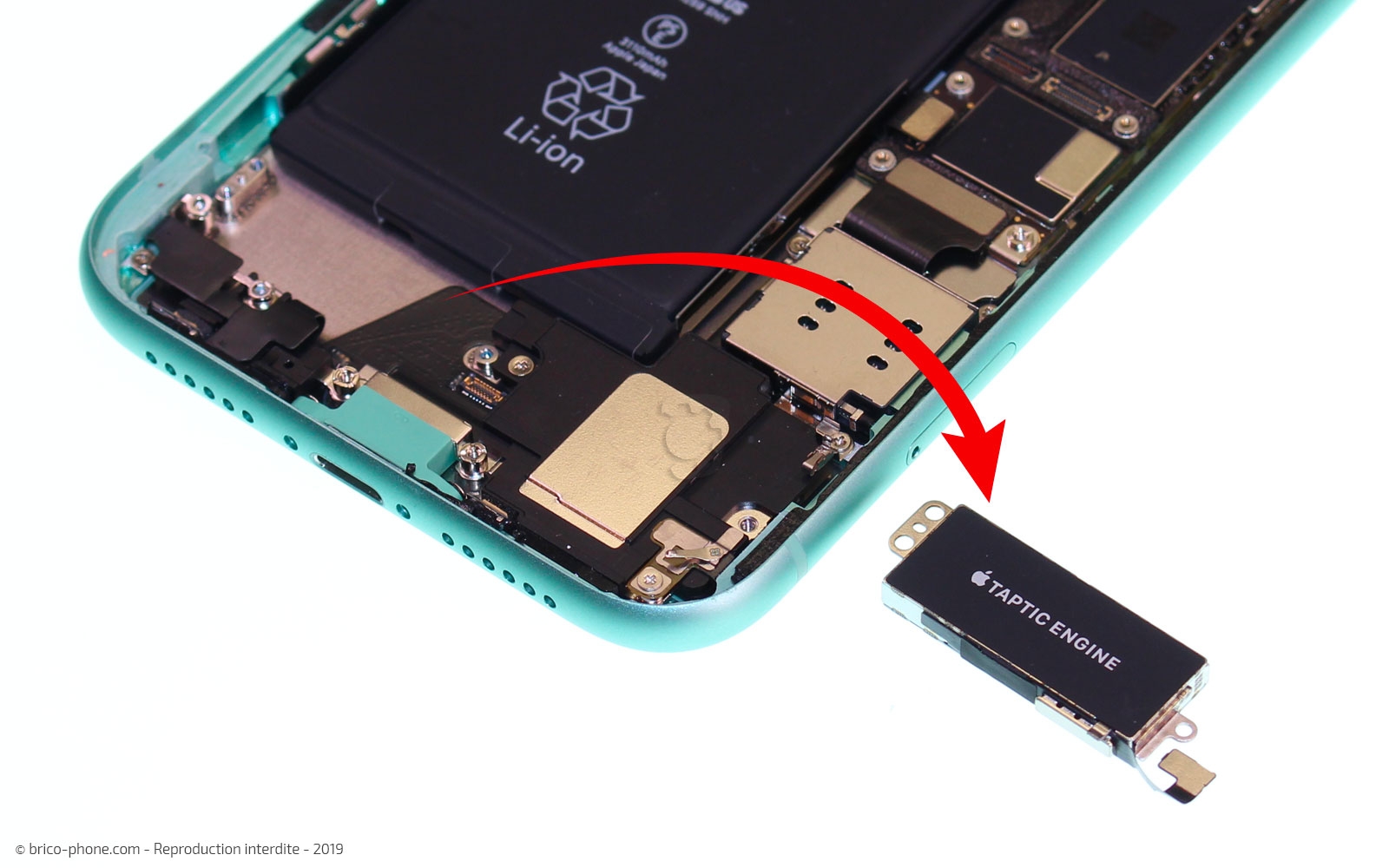 Remplacer le connecteur de charge sur iPhone 11 photo 3