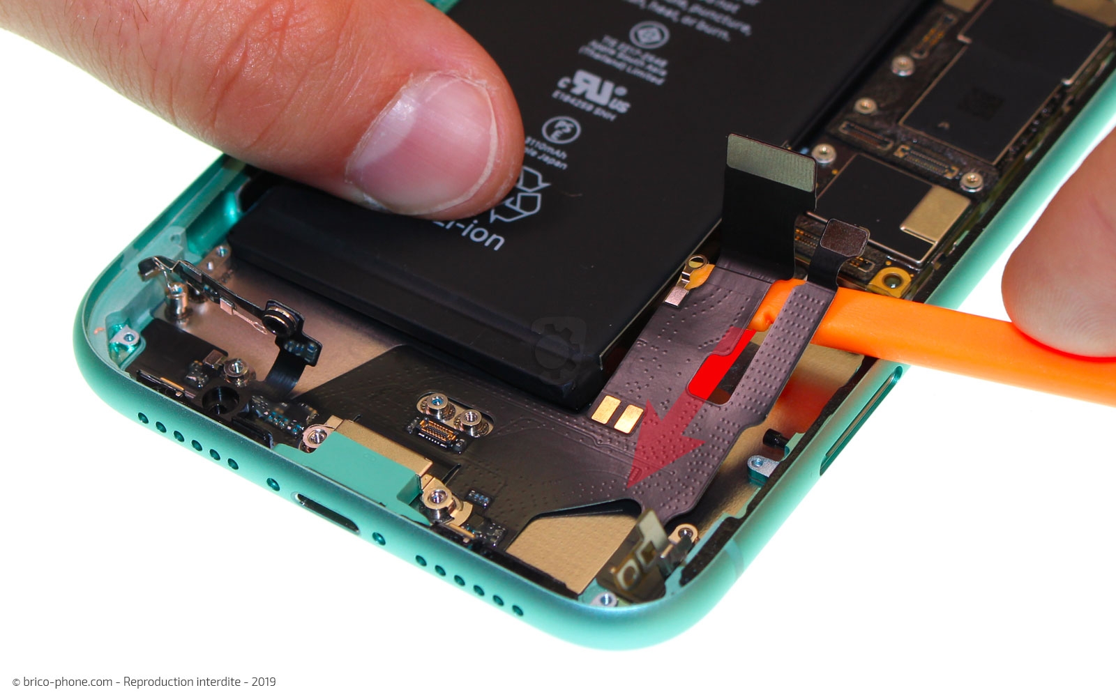 Remplacer le connecteur de charge sur iPhone 11 photo 2