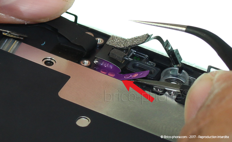 Changement de nappe caméra avant Facetime sur iPhone 8 photo 1