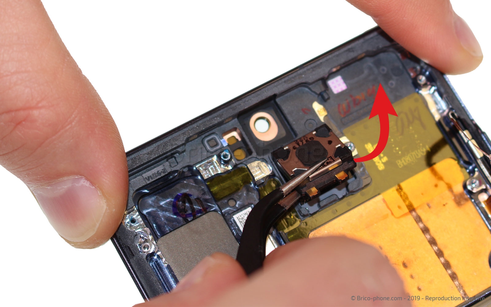 Démontage complet sur Galaxy Note 10 Plus photo 1