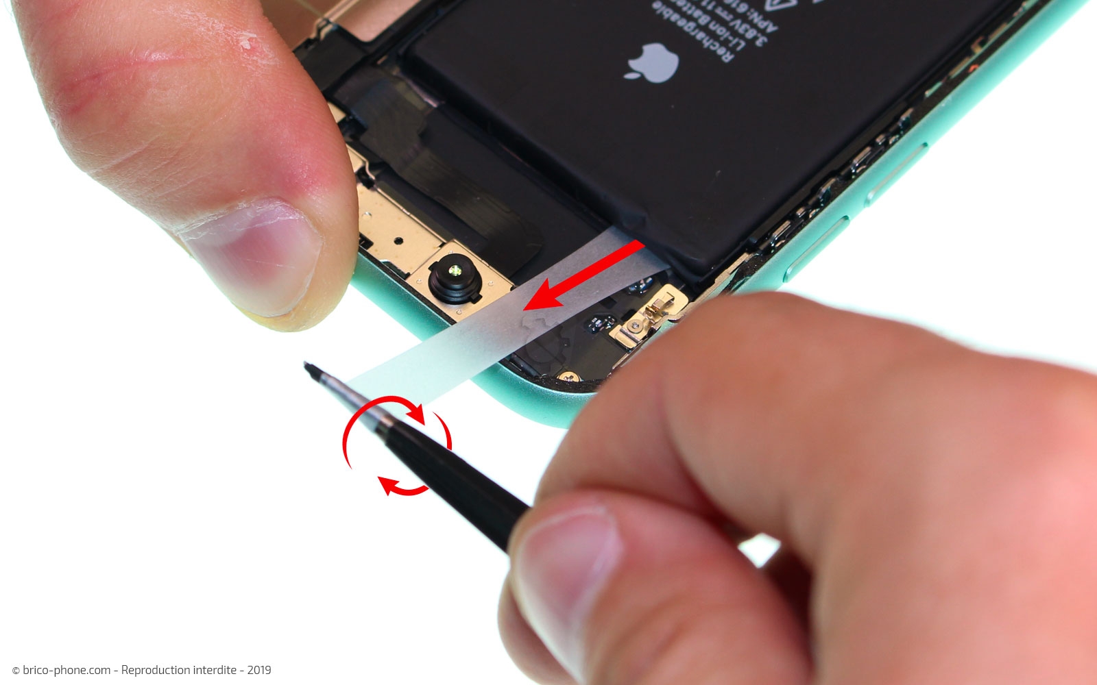Démontage complet  sur iPhone 11 photo 4