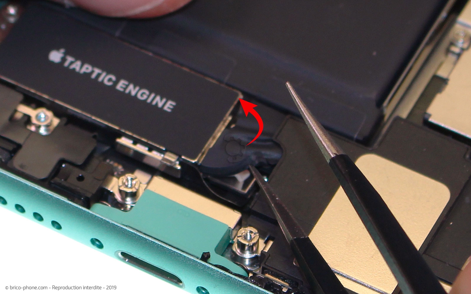 Démontage complet  sur iPhone 11 photo 1