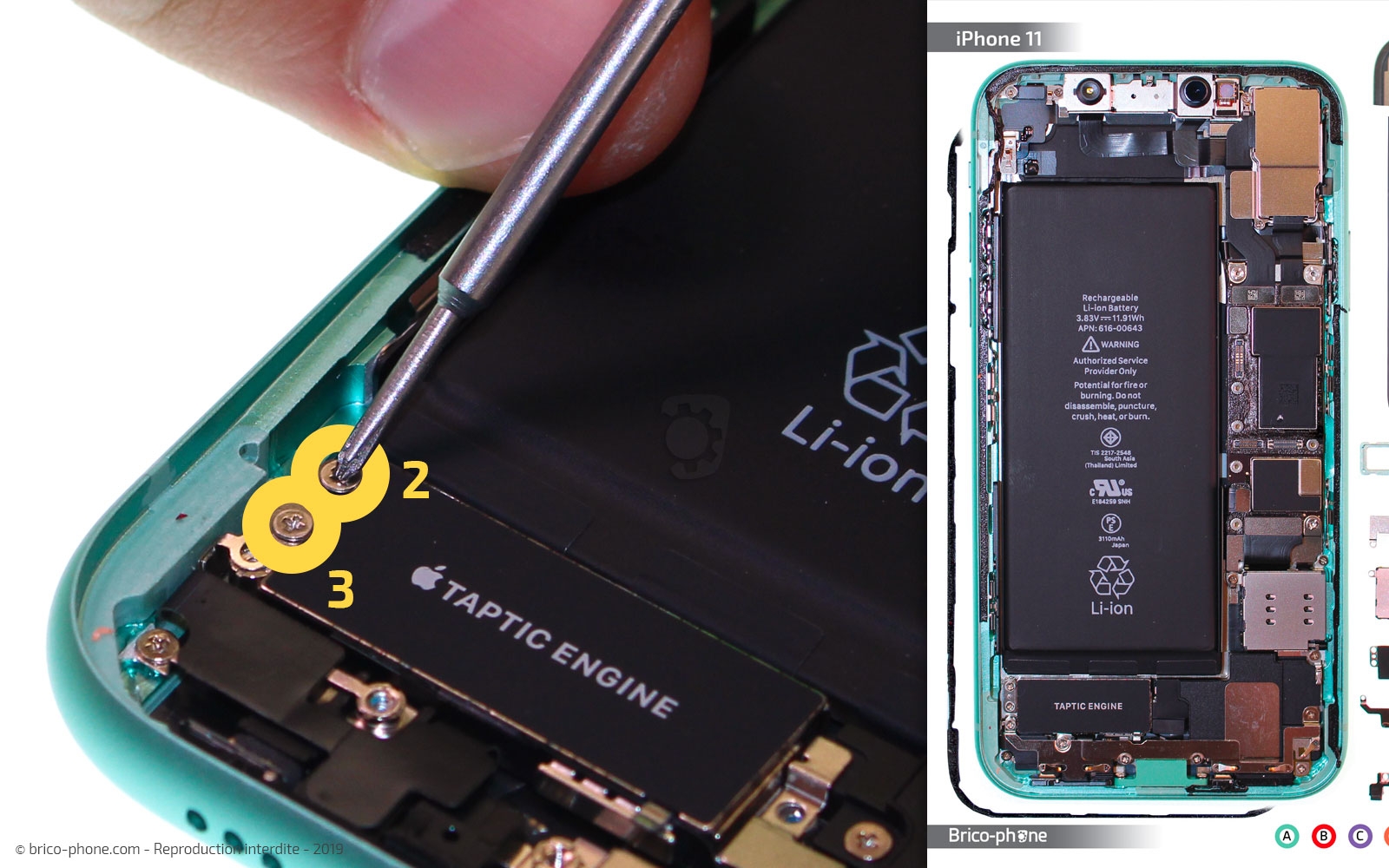 Démontage complet  sur iPhone 11 photo 1