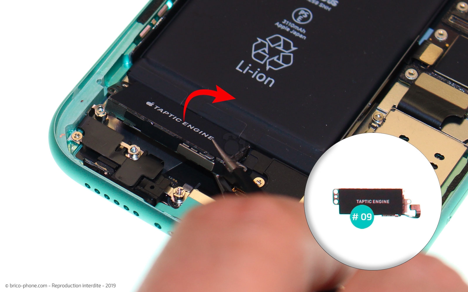 Démontage complet  sur iPhone 11 photo 3