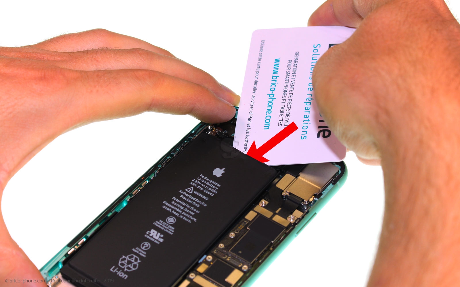 Démontage complet  sur iPhone 11 photo 1