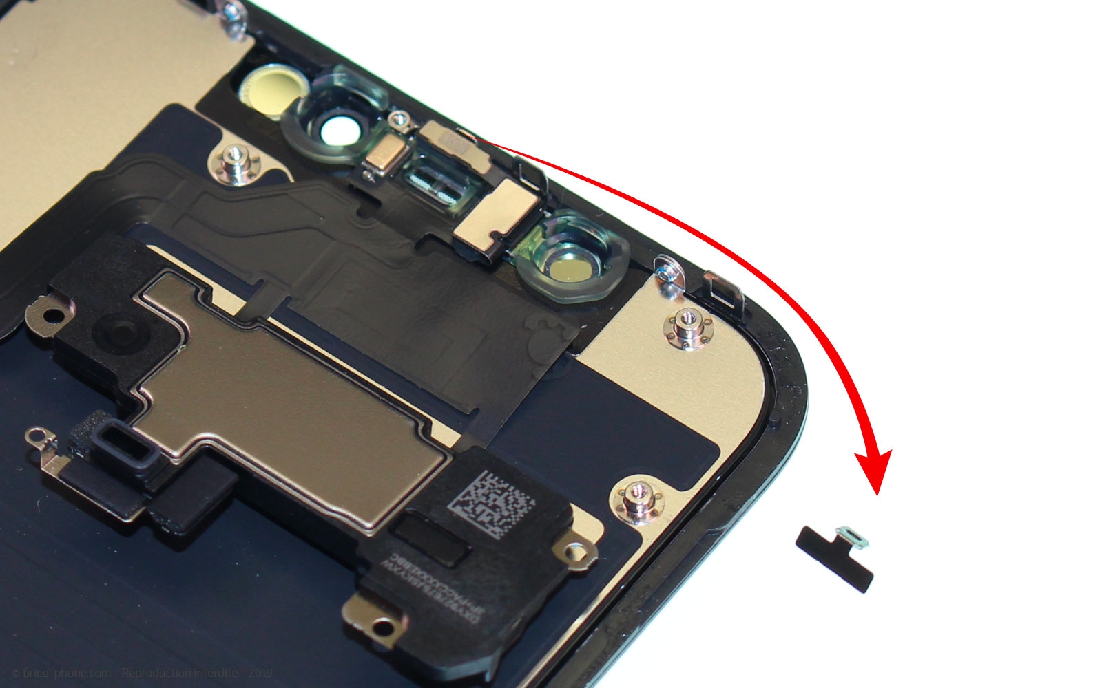 Démontage complet  sur iPhone 11 photo 3