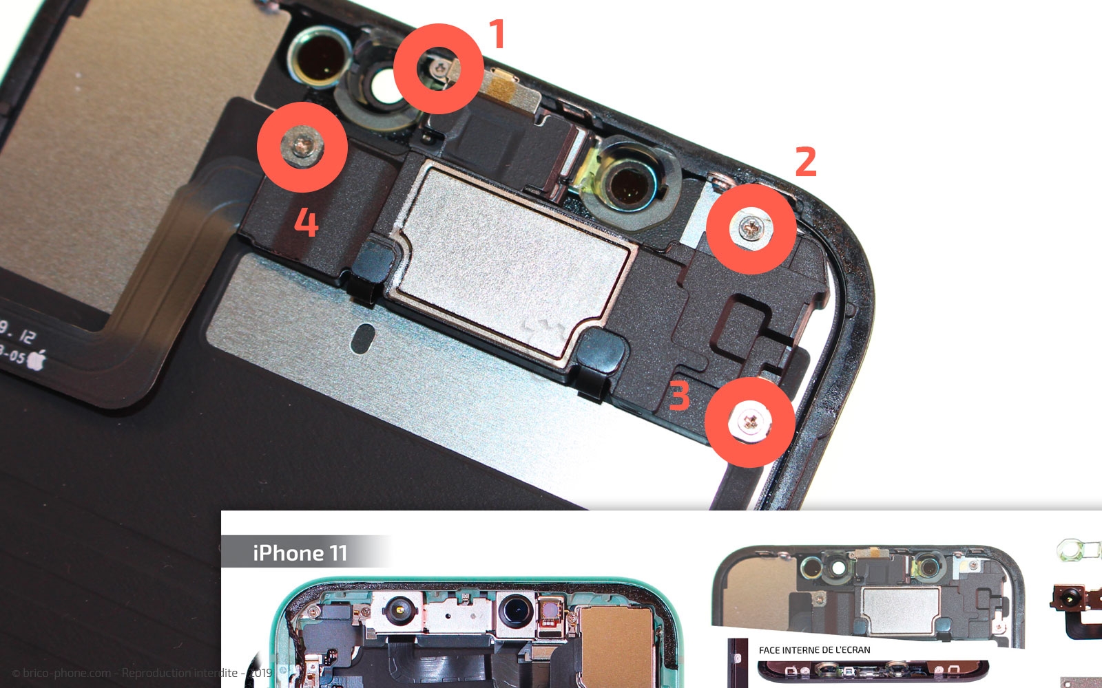 Démontage complet  sur iPhone 11 photo 1
