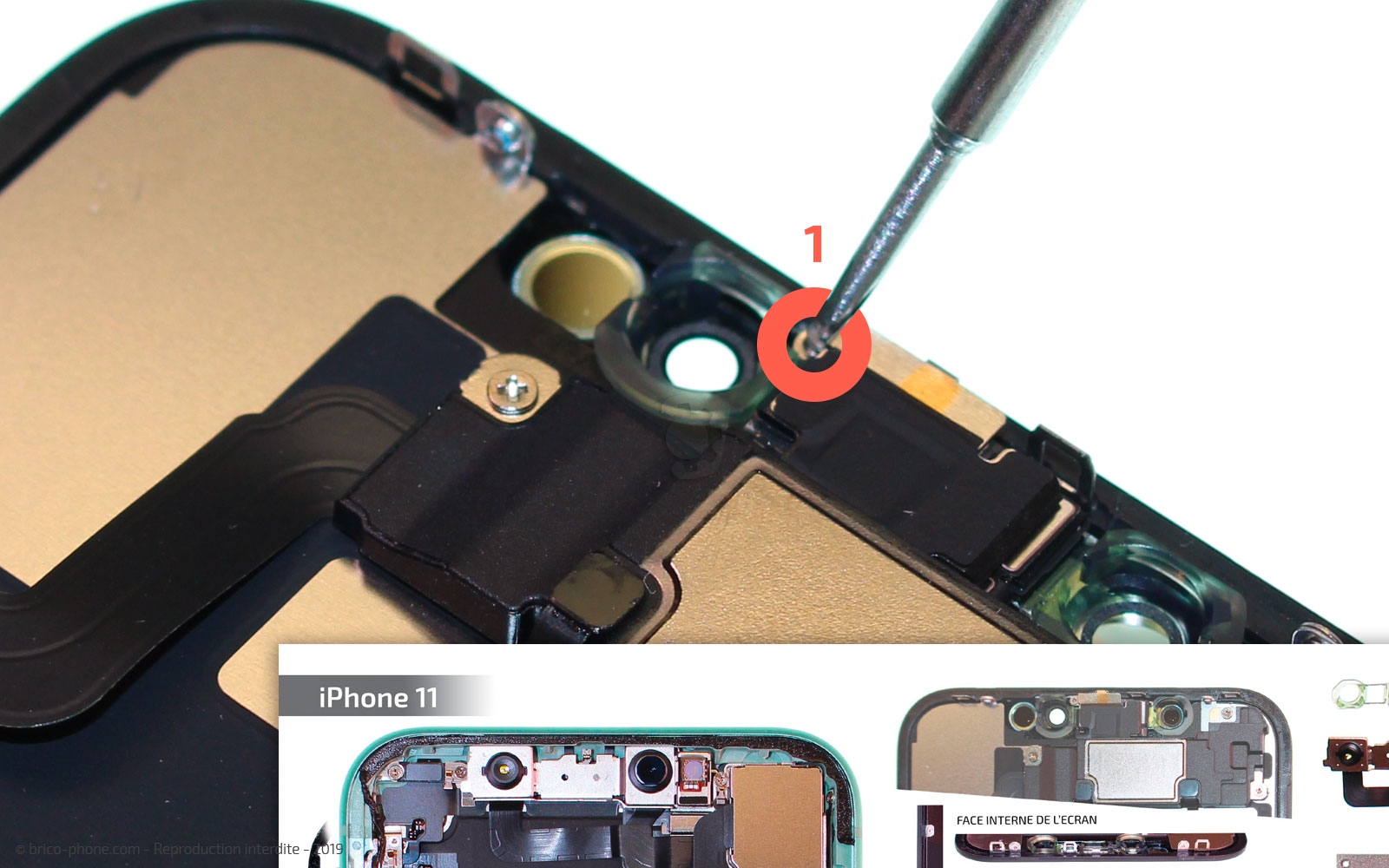 Démontage complet  sur iPhone 11 photo 2