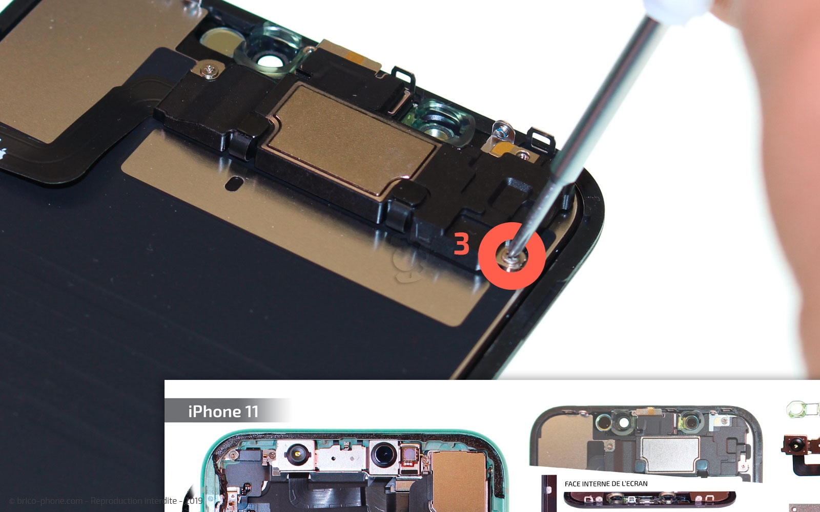 Démontage complet  sur iPhone 11 photo 3